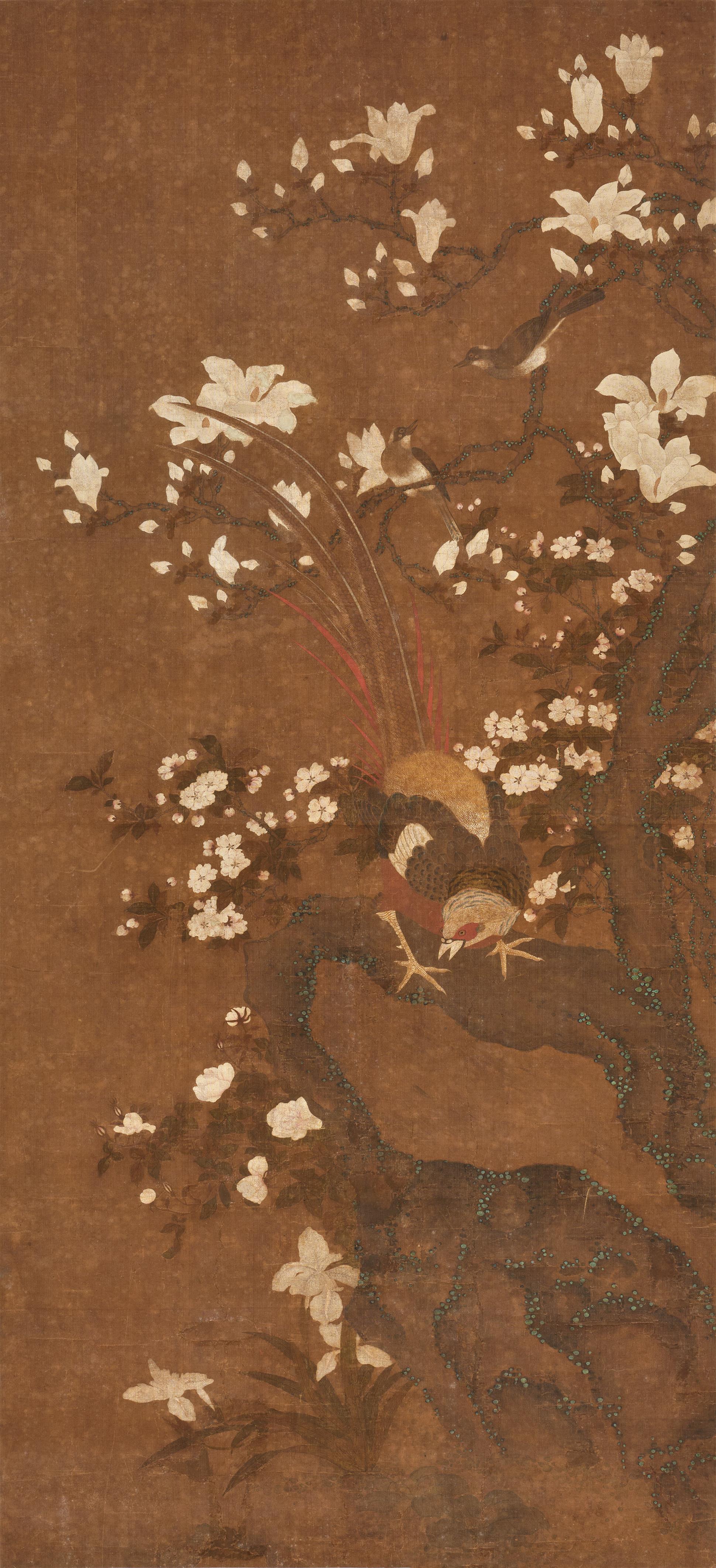 A pheasant in a magnolia tree - image-1