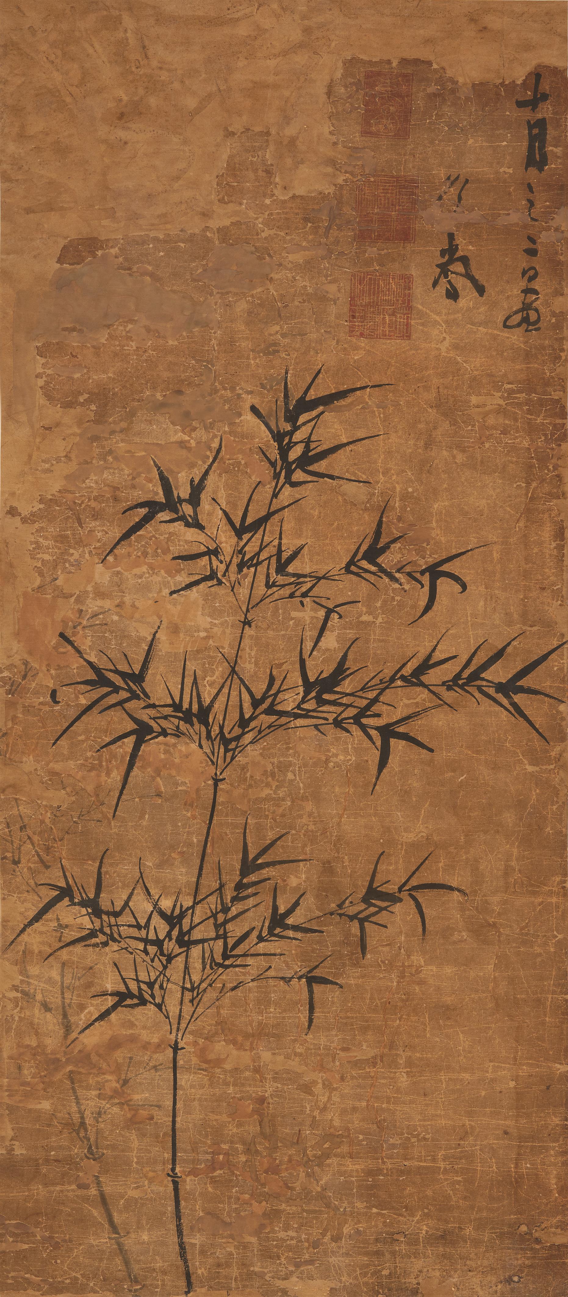 Bamboo - image-1