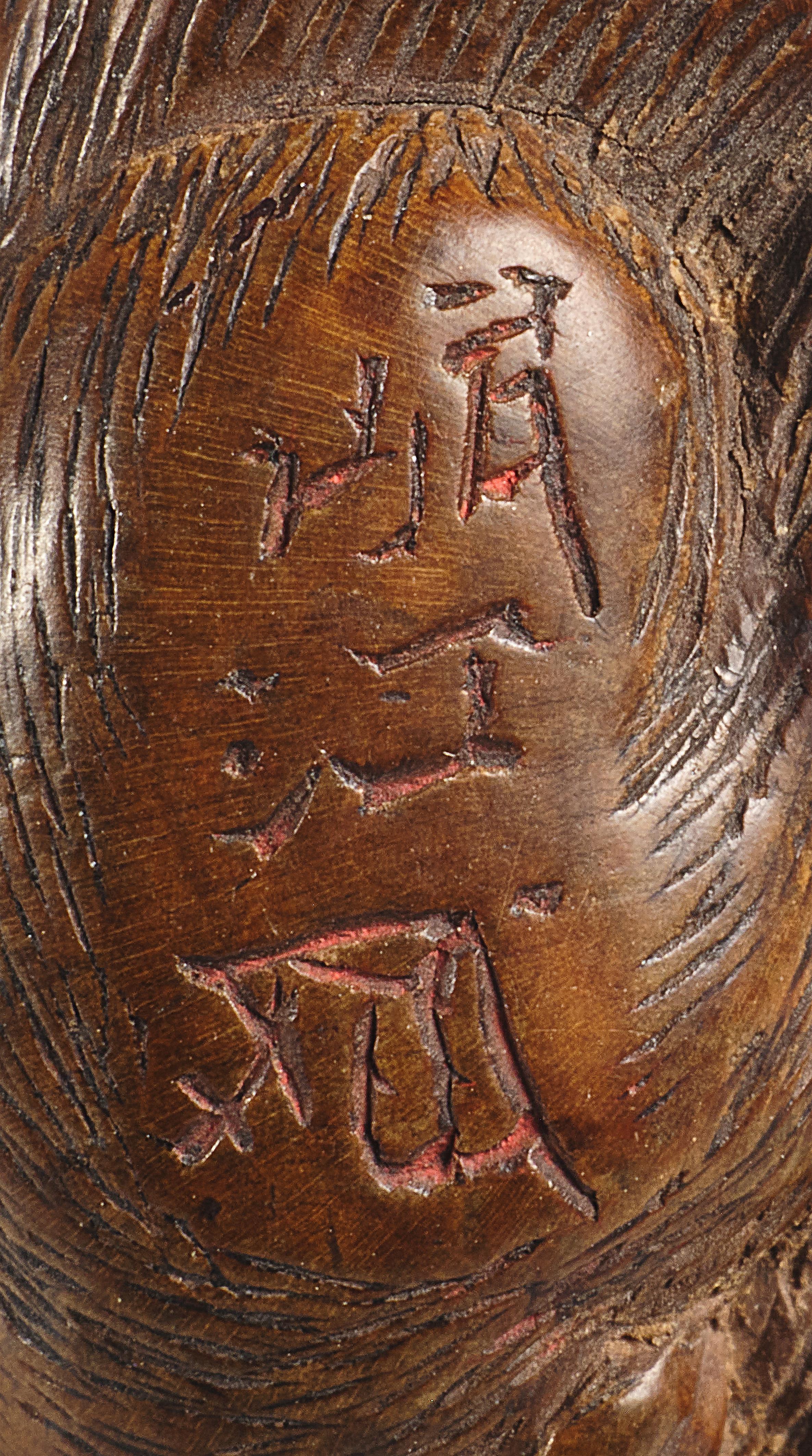 A wood netsuke of a recumbent goat. Around 1800 - image-3