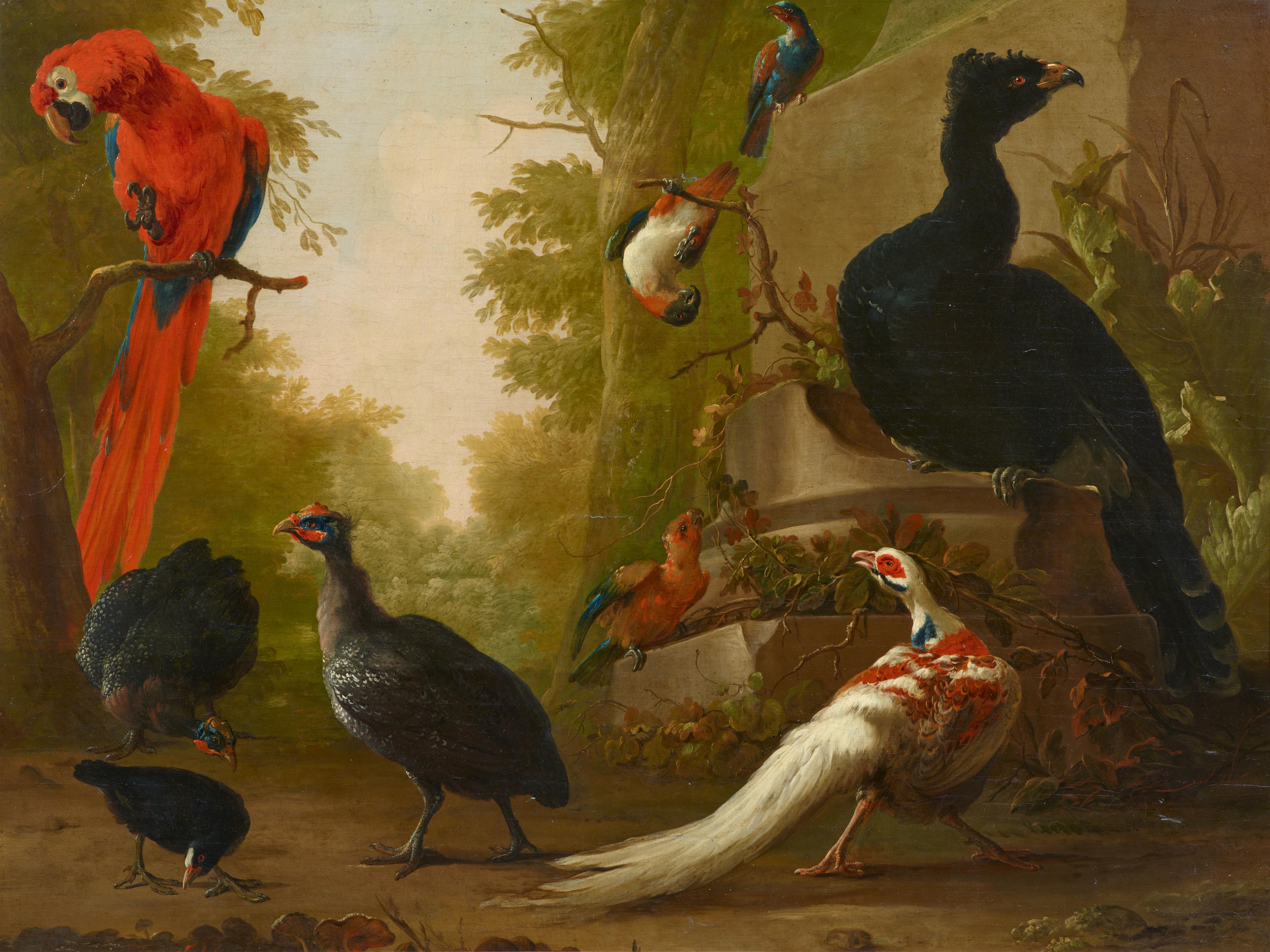 Abraham Bisschop - Ein roter Ara, Perlhühner, ein Silberfasan und andere exotische Vögel in einem Park - image-1