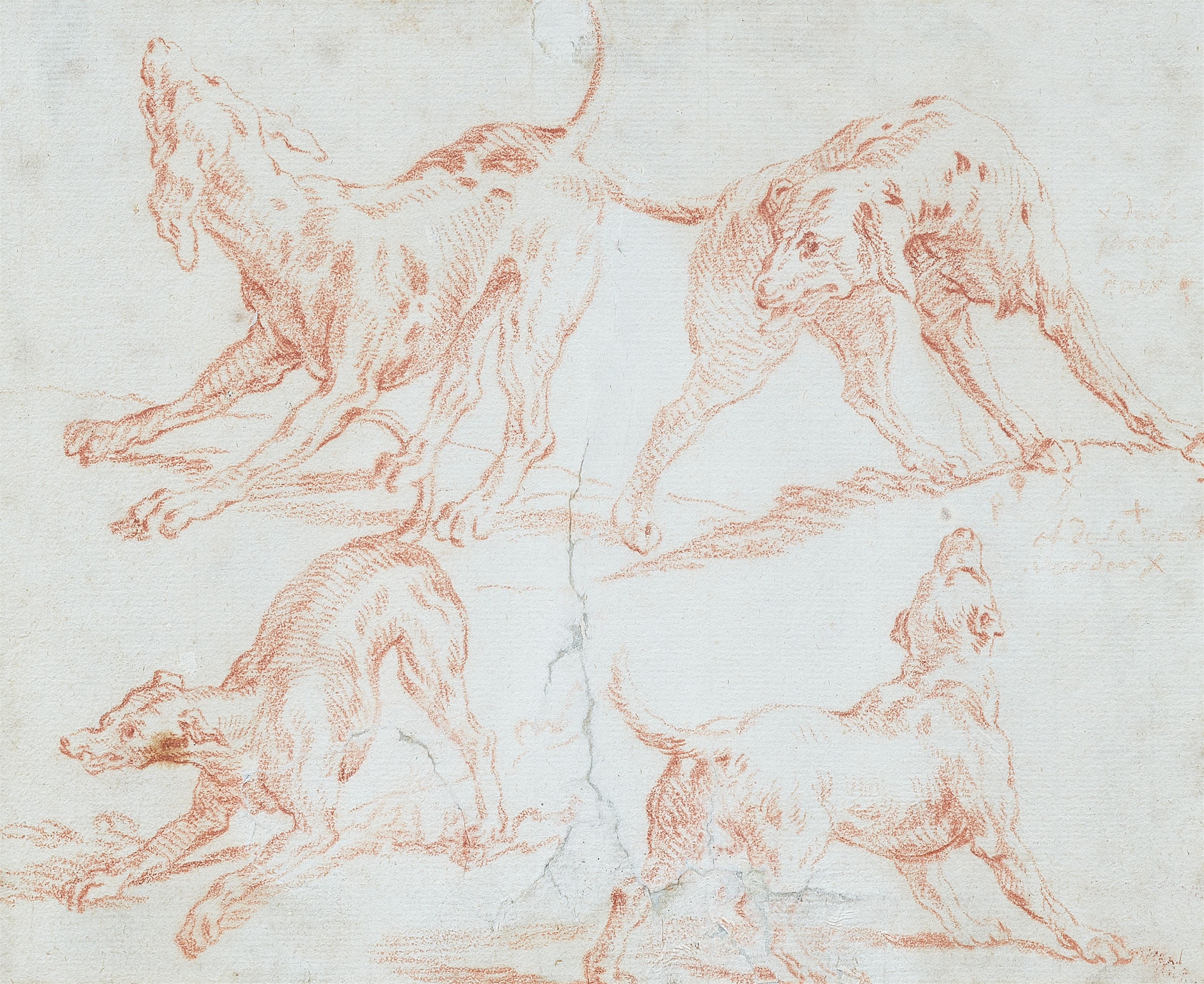 Alexandre Francois Desportes circle of - Four canine studies - image-1