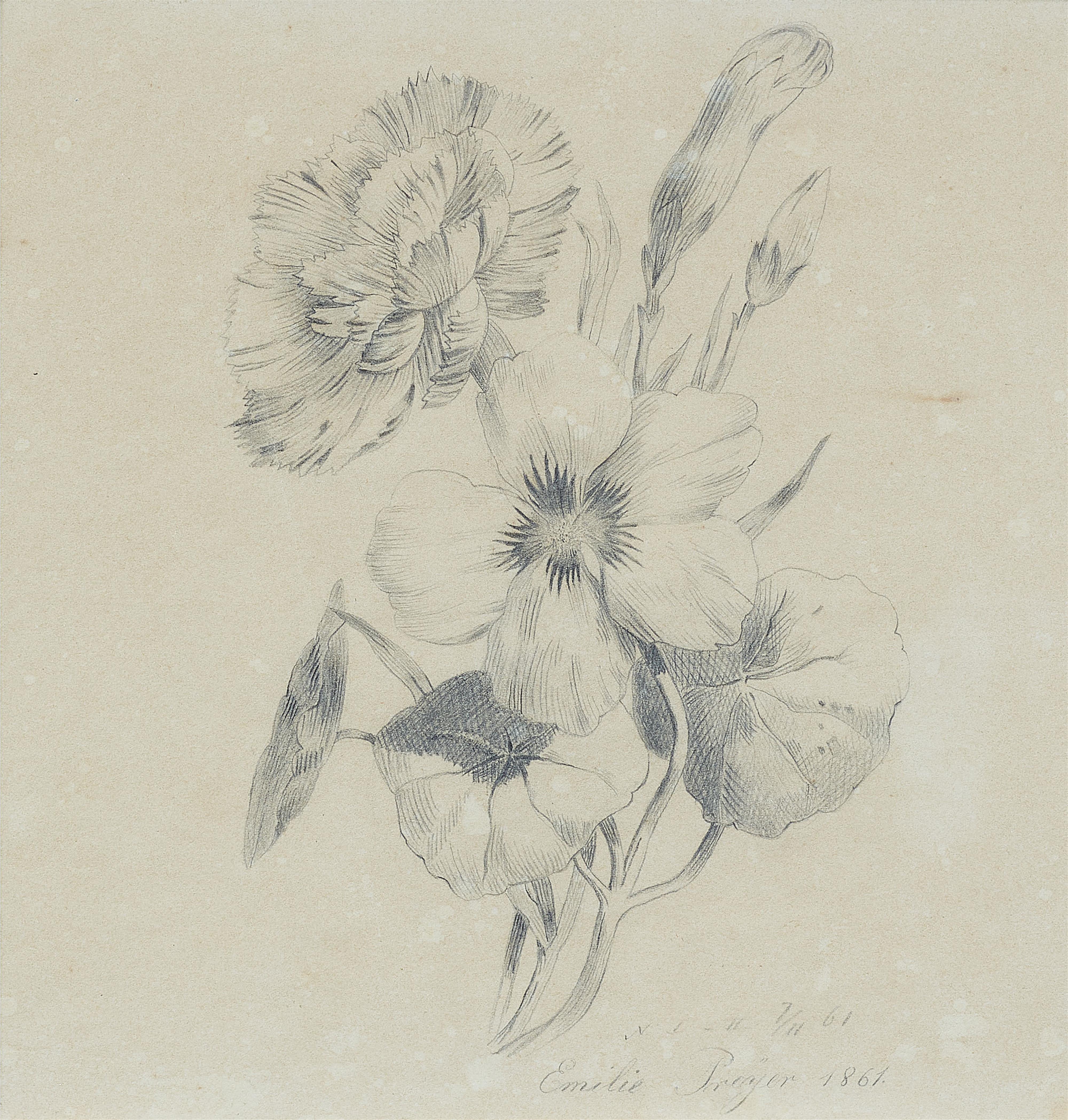 Emilie Preyer - Carnation flowers and buds - image-1