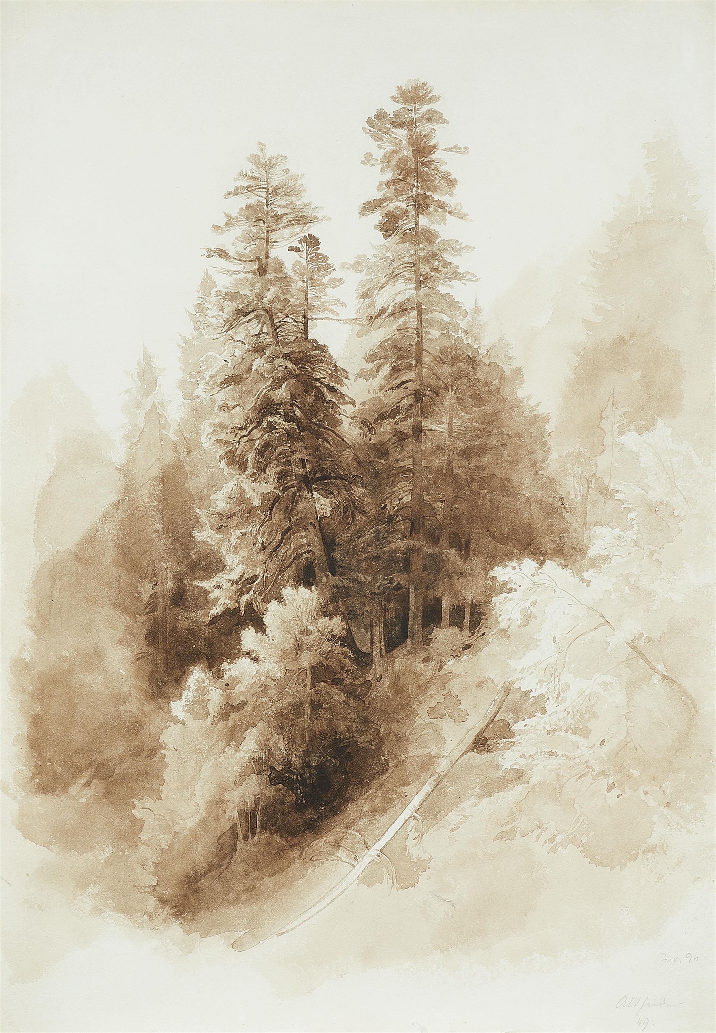 Carl Maria Nicolaus Hummel - Mountain slope with pines - image-1