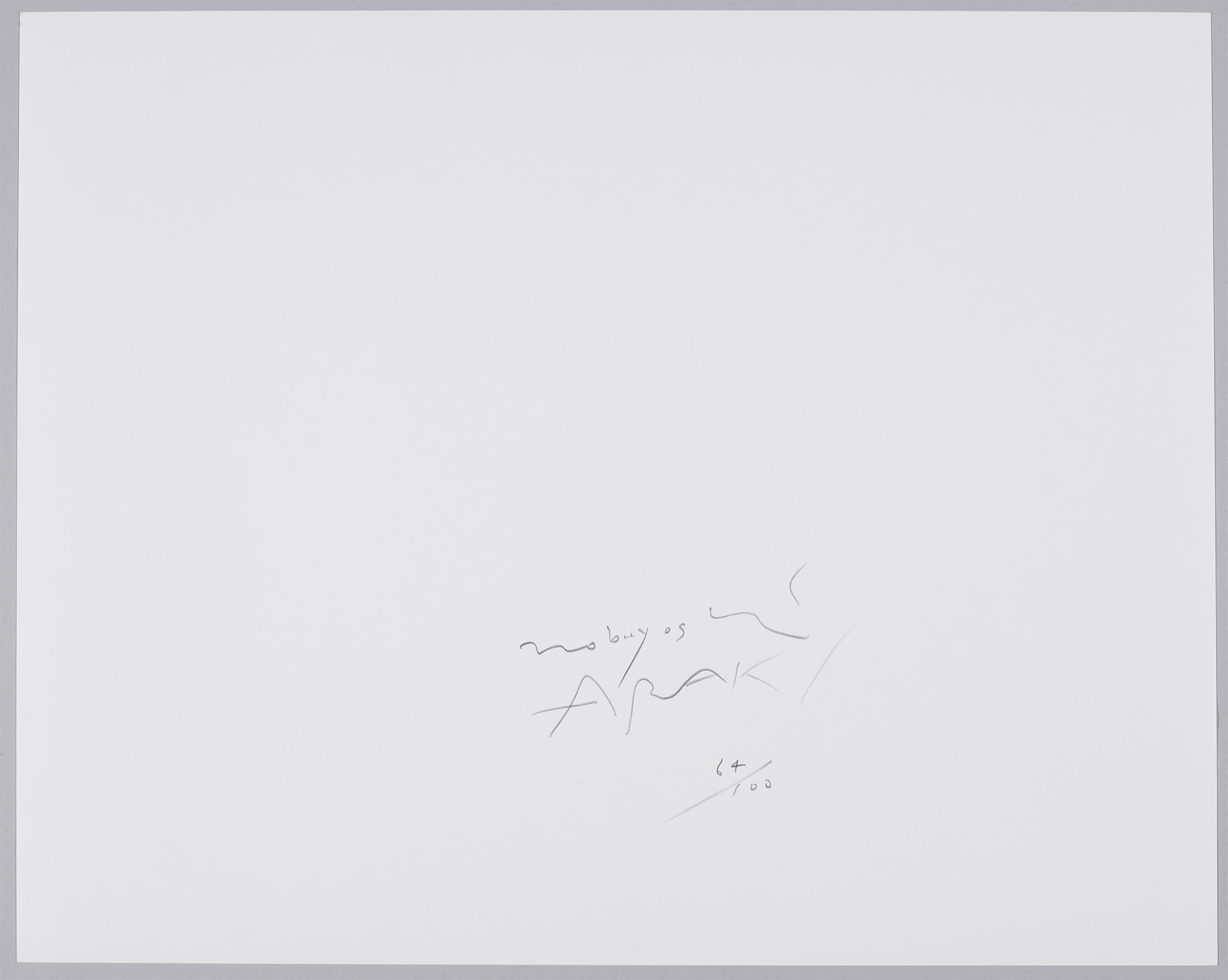 Nobuyoshi Araki - Untitled (from the series: Self-Life-Death) - image-2