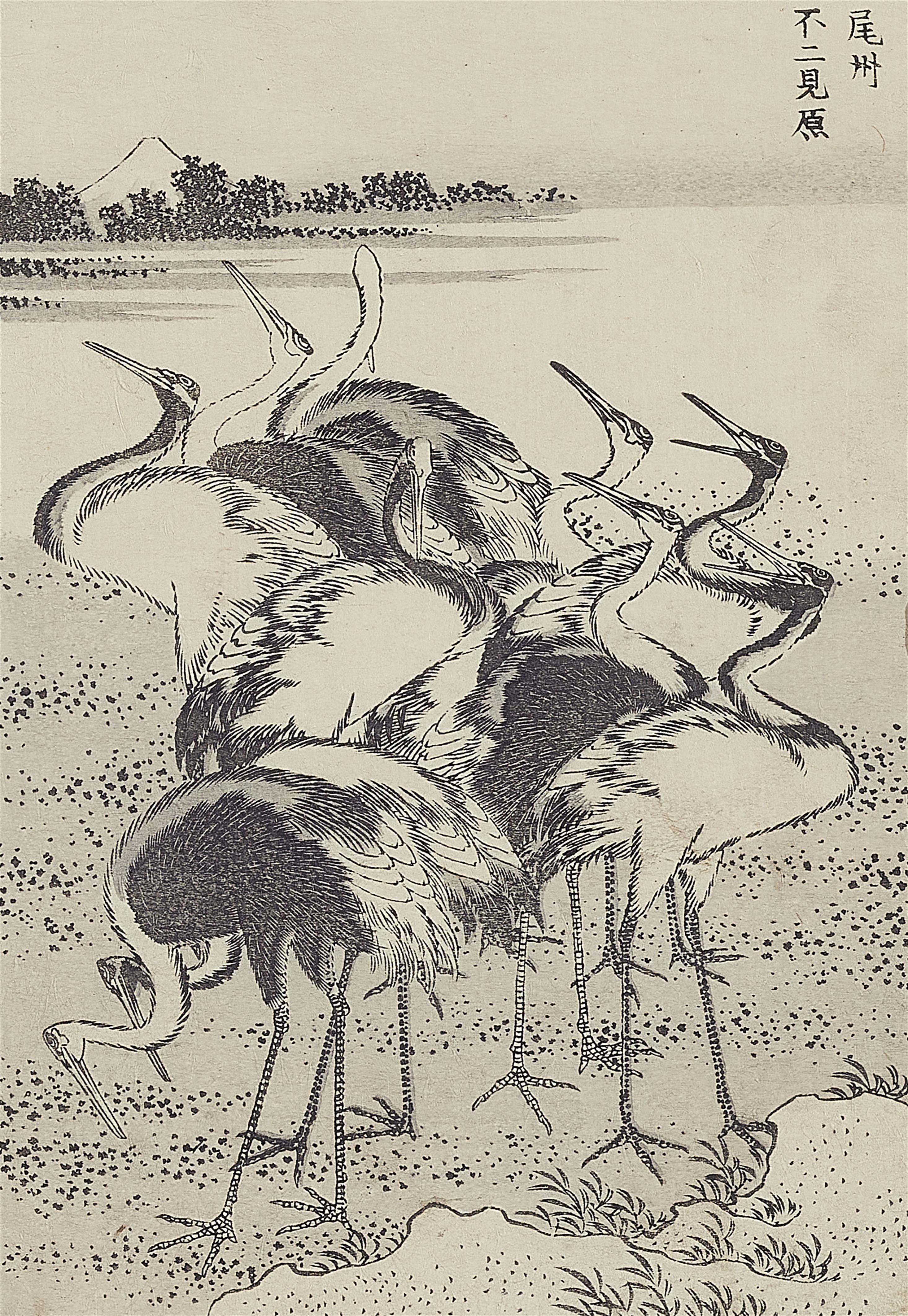 Katsushika Hokusai - Black and white illustrations from the album Fugaku hyakkei - image-20