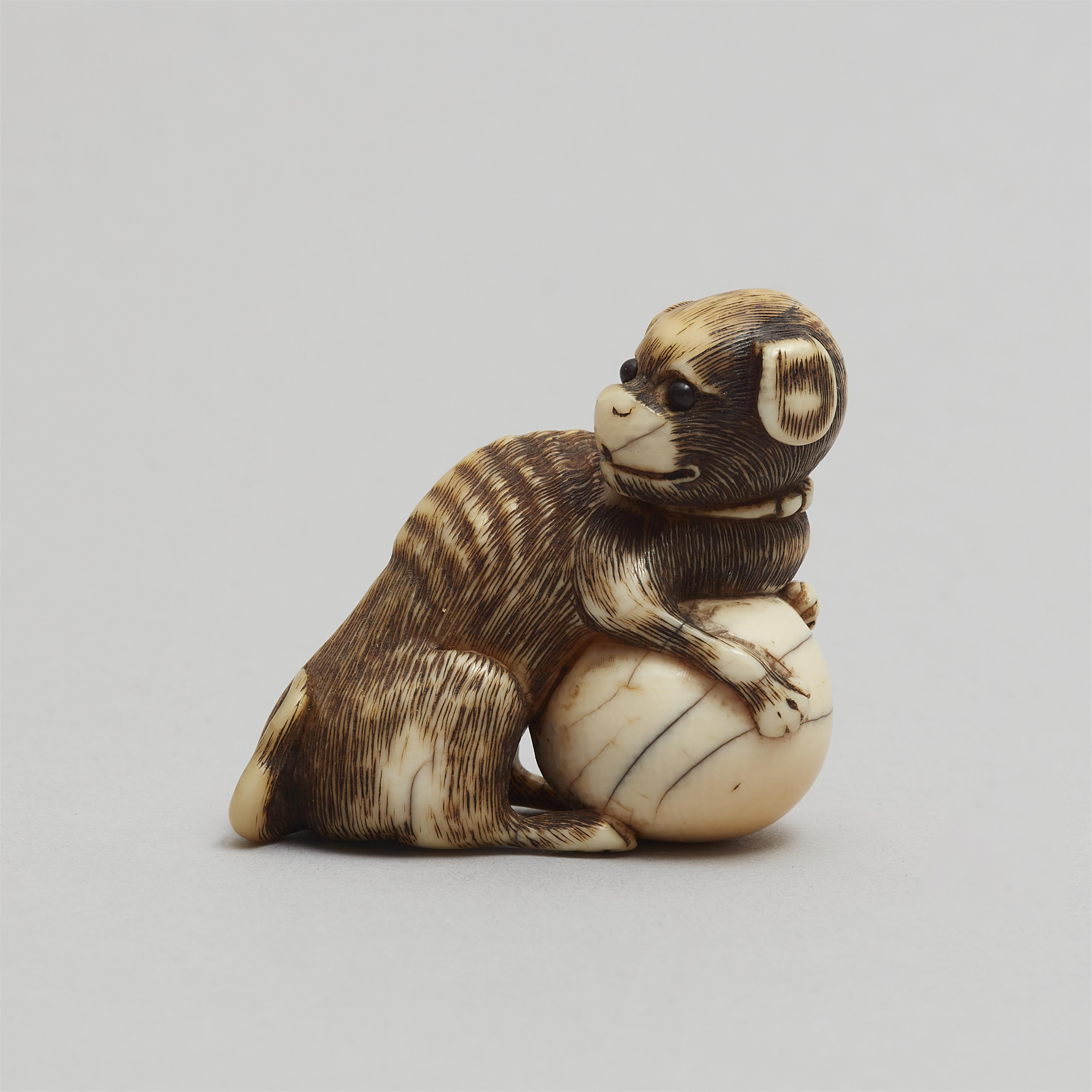 An ivory netsuke of a dog with a ball. Around 1800 - image-3