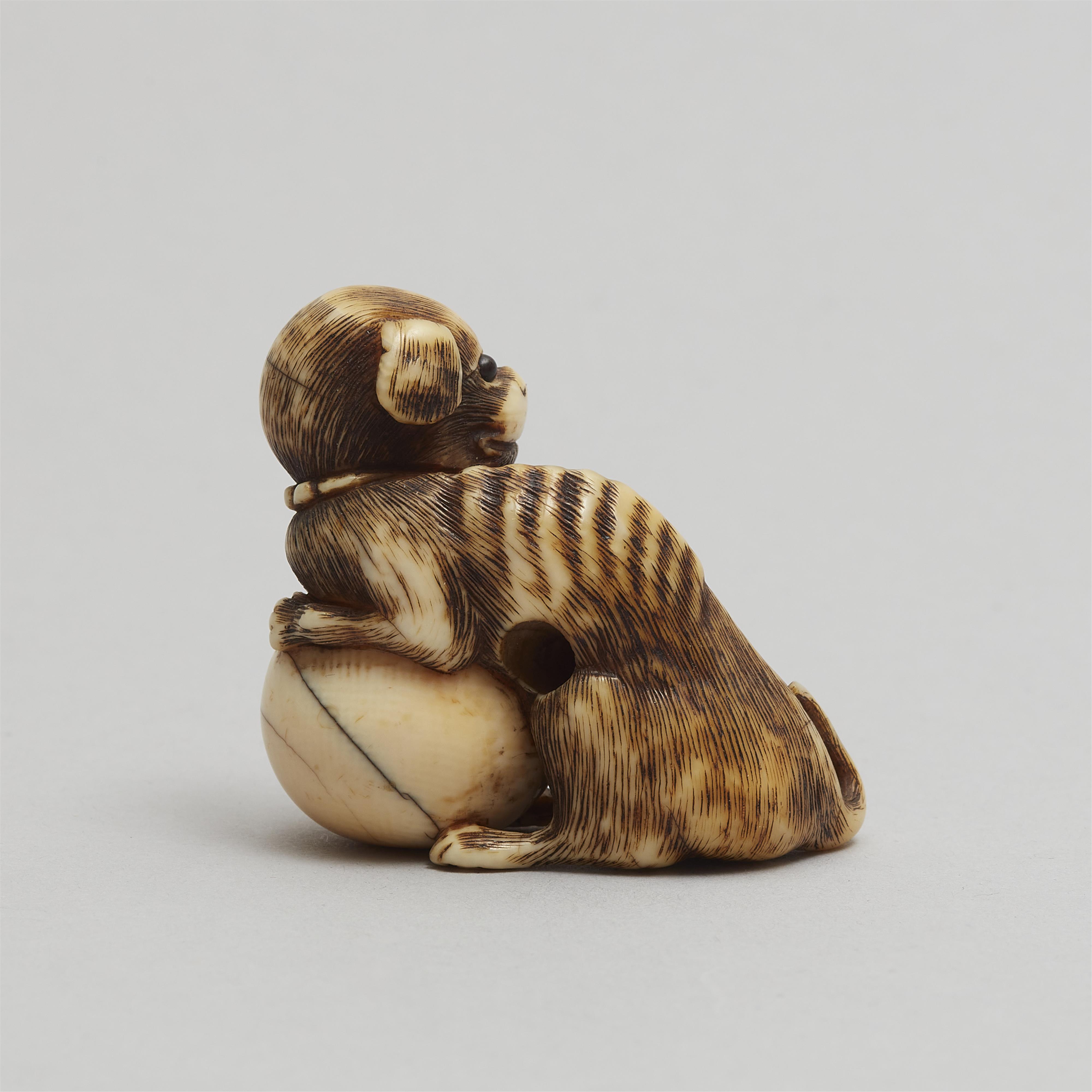 An ivory netsuke of a dog with a ball. Around 1800 - image-5