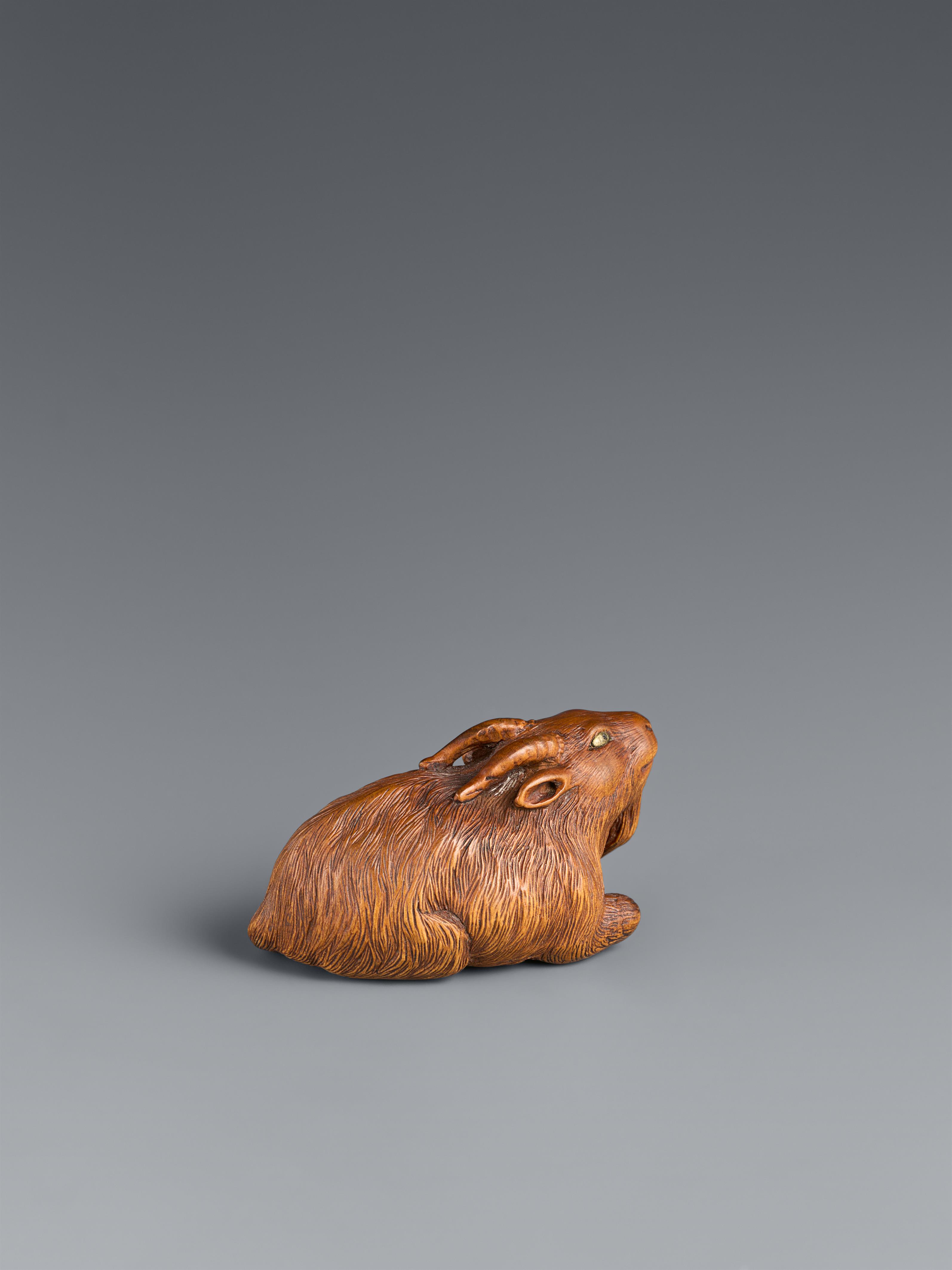 A boxwood netsuke of a reclining long-haired goat. Probably Tsu. First half 19th century - image-2