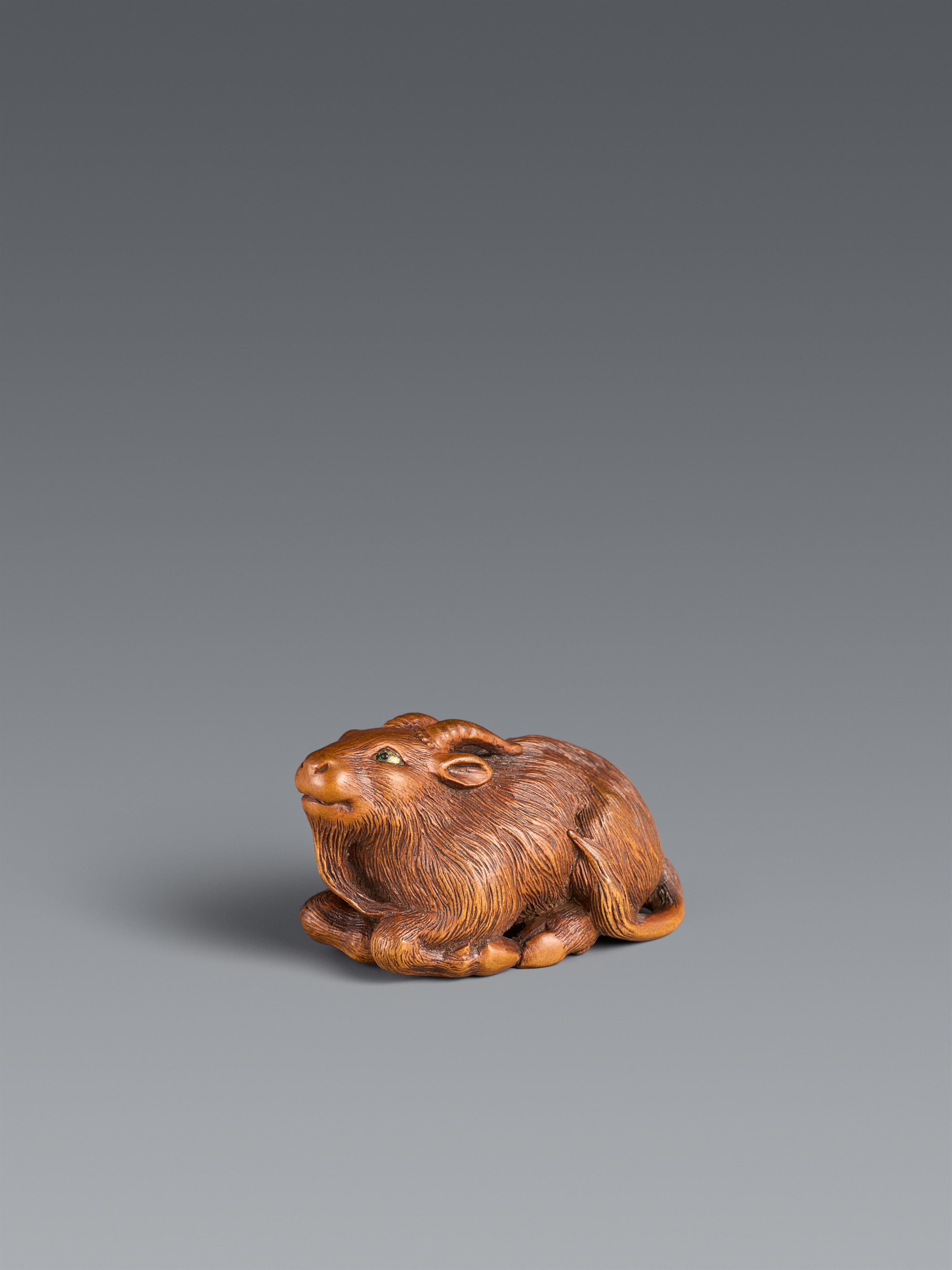 A boxwood netsuke of a reclining long-haired goat. Probably Tsu. First half 19th century - image-1