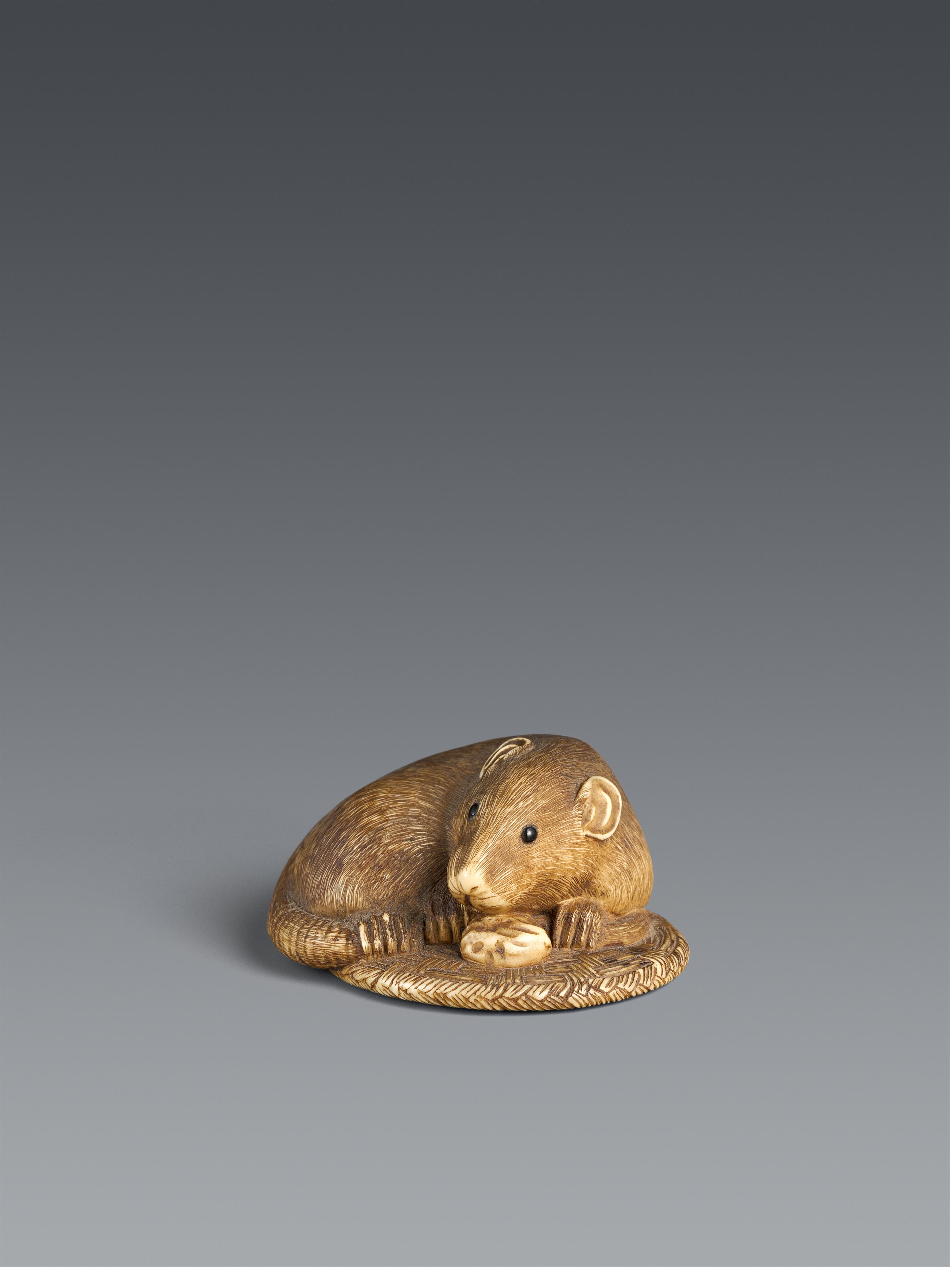 Netsuke einer großen Ratte auf einem geflochtenen Kissen. Elfenbein. Um 1900 - image-1