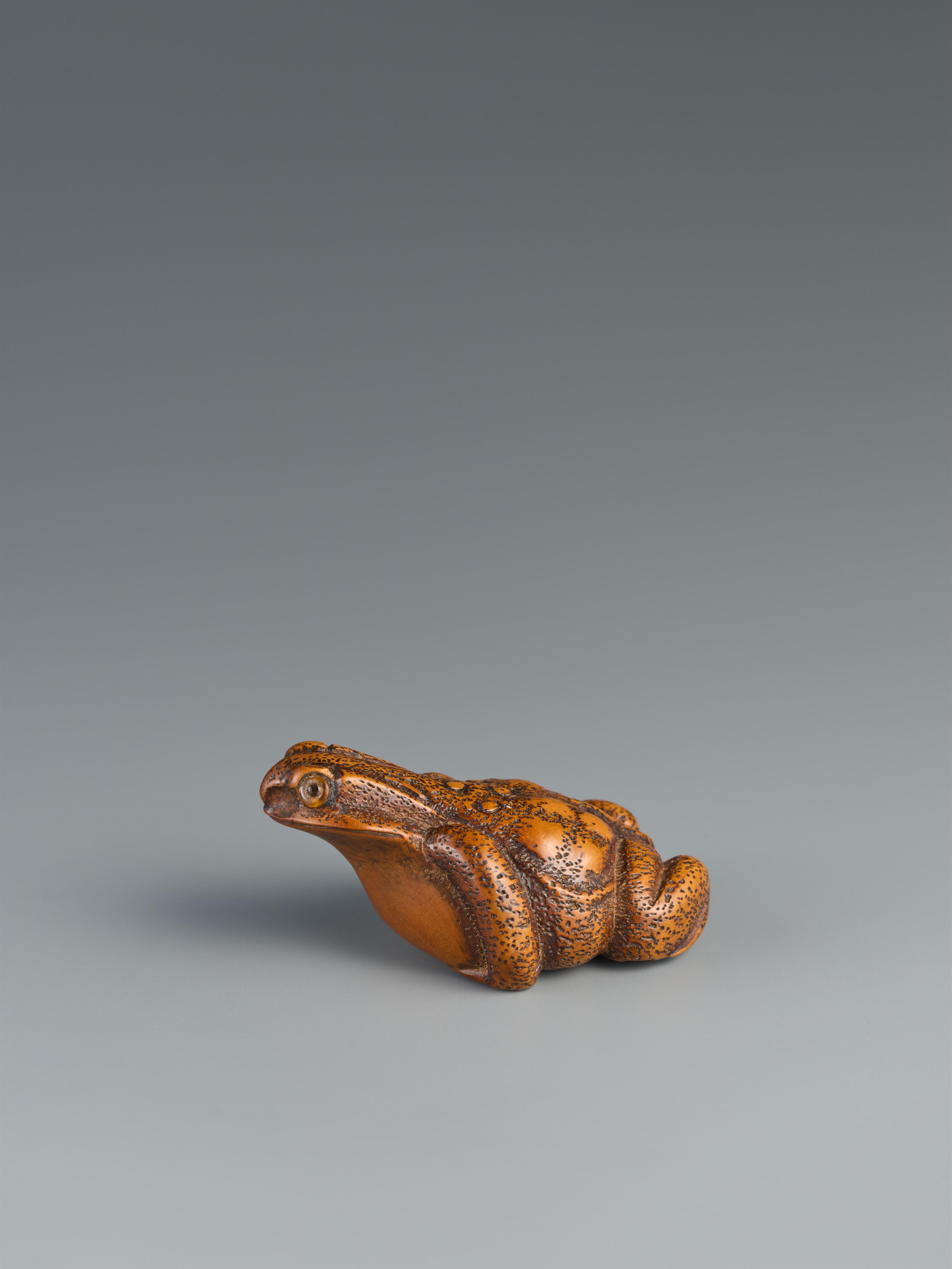 A boxwood netsuke of a toad. 19th century - image-2