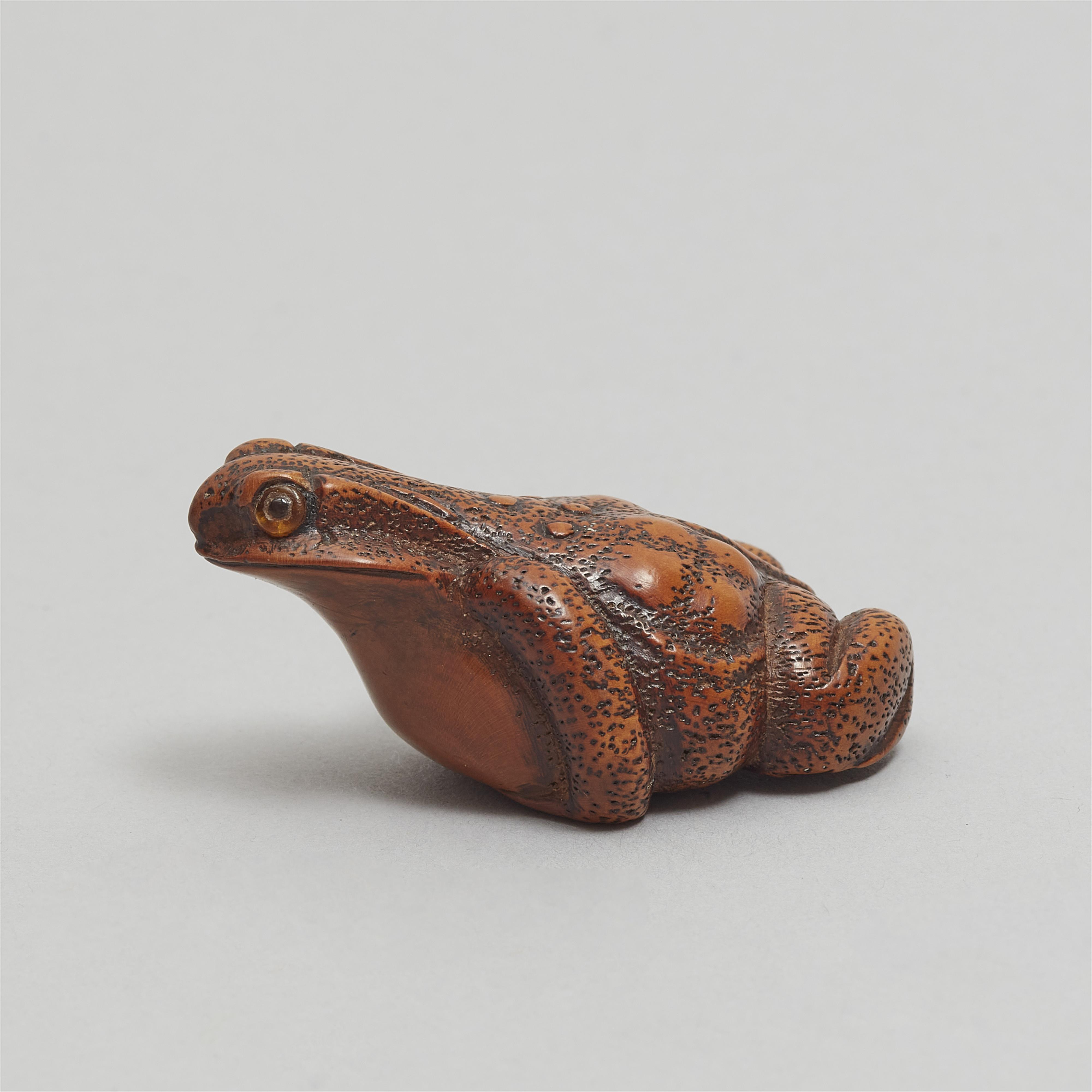 A boxwood netsuke of a toad. 19th century - image-4