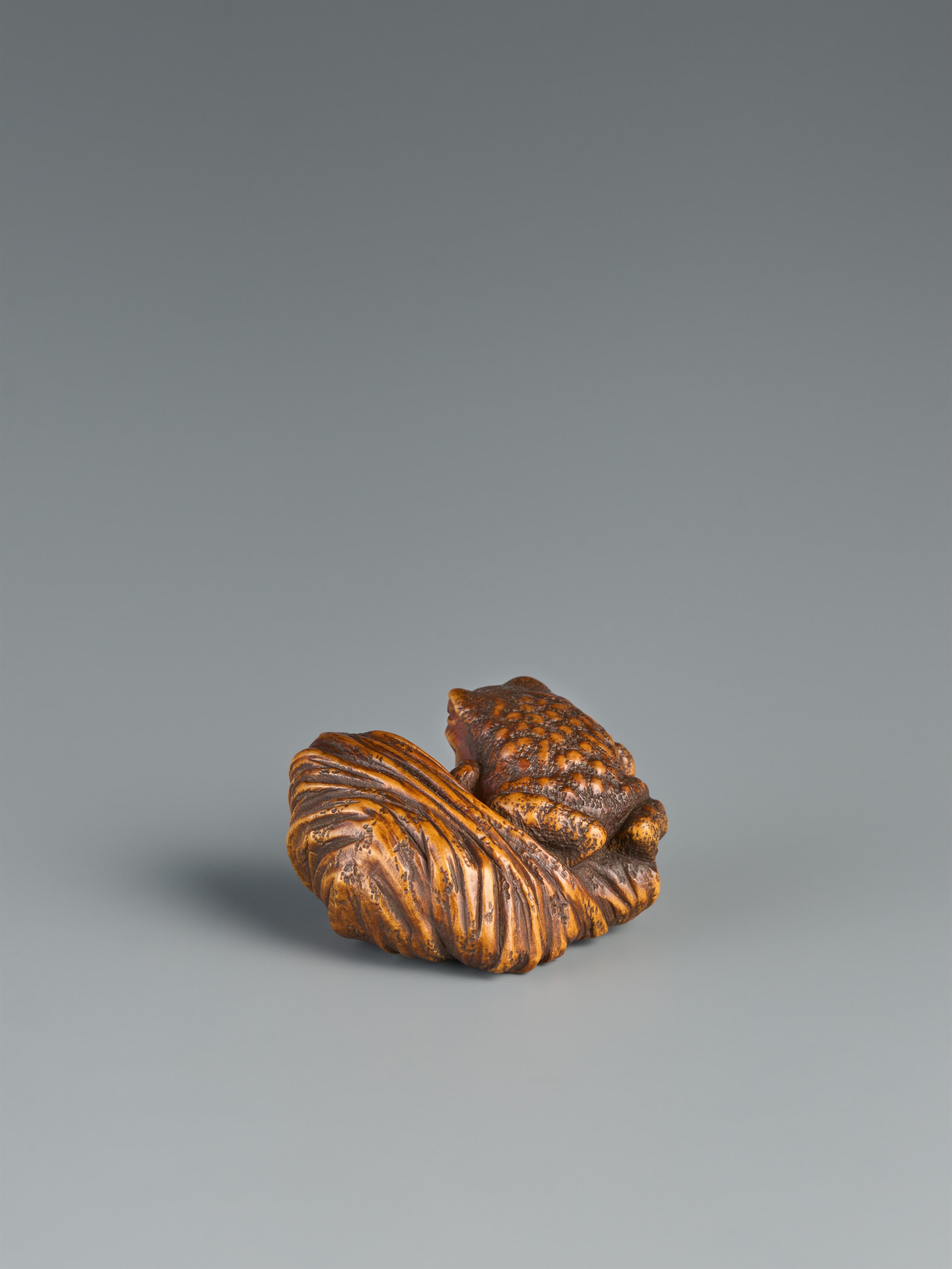 An Ise-Yamada boxwood netsuke of a toad next to a rock. 19th century - image-2