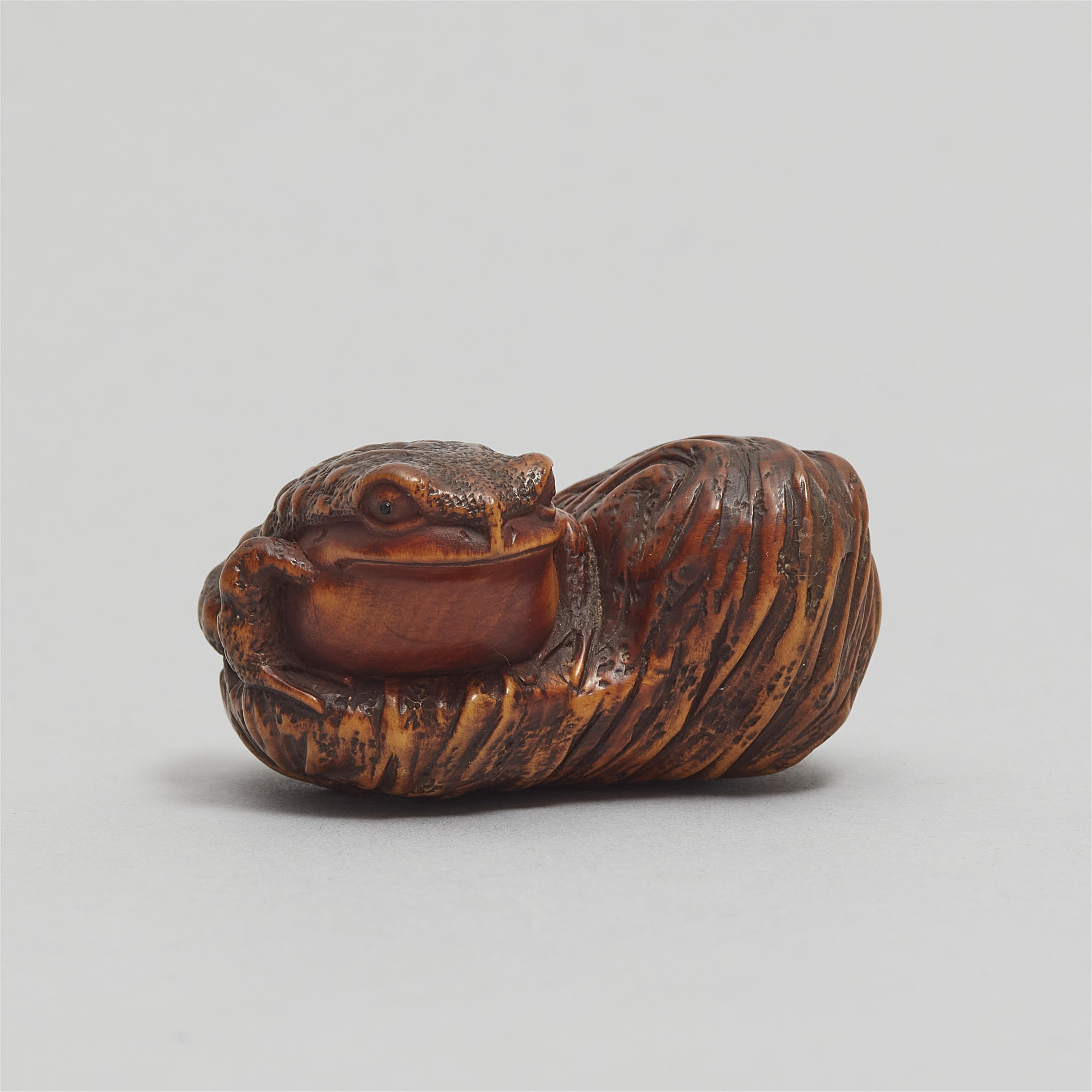 An Ise-Yamada boxwood netsuke of a toad next to a rock. 19th century - image-3