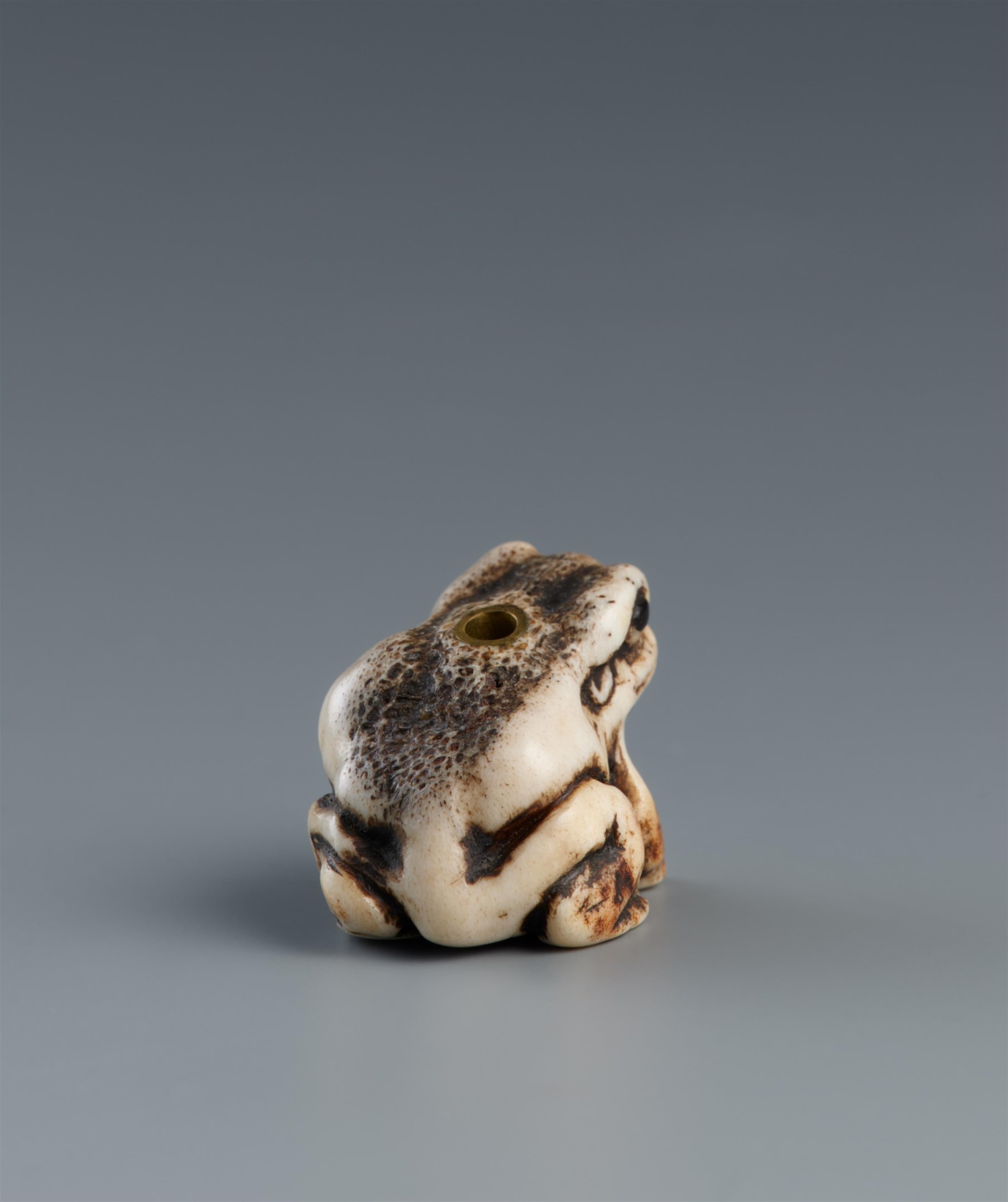 A stag antler ojime of a toad. 19th century - image-2
