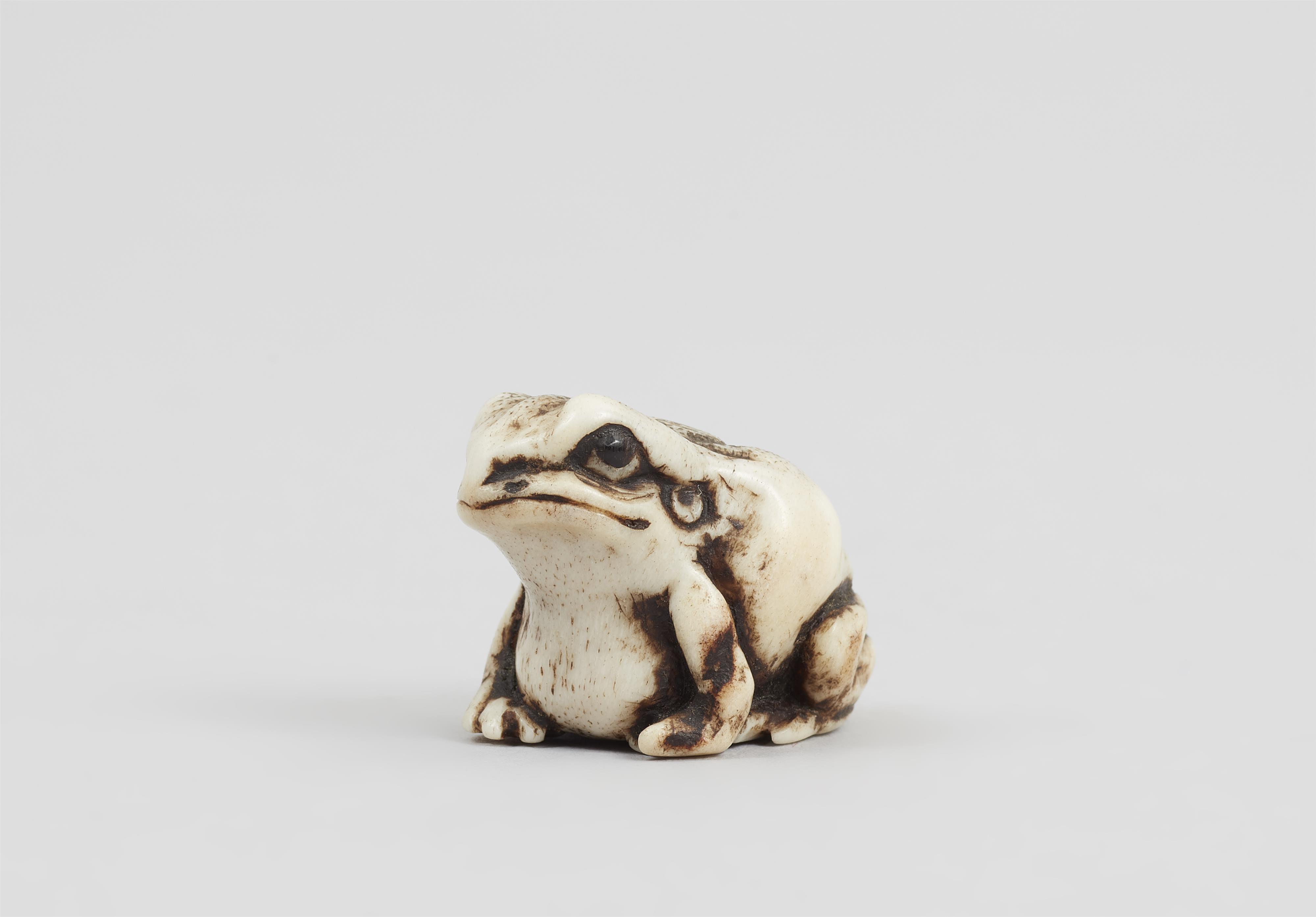 A stag antler ojime of a toad. 19th century - image-3