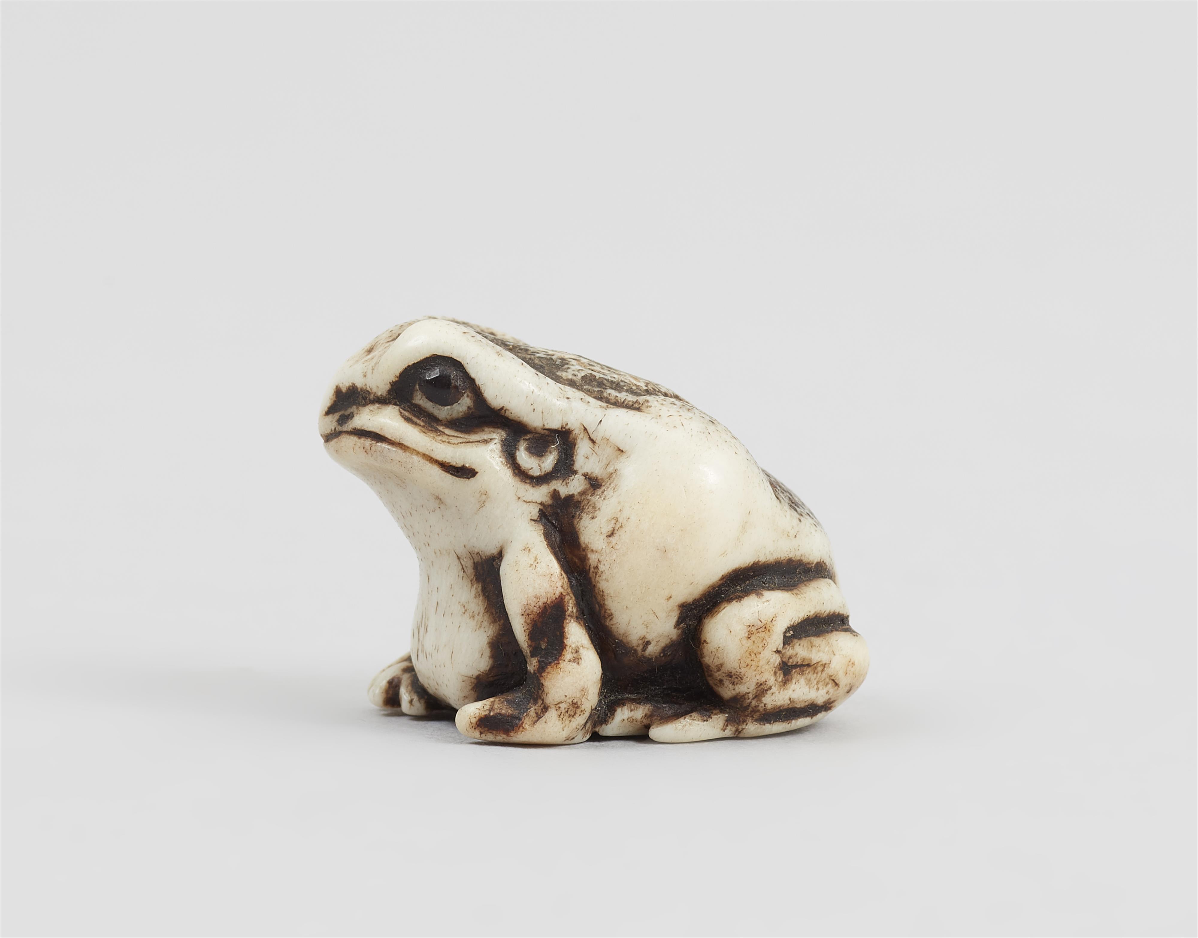 A stag antler ojime of a toad. 19th century - image-4