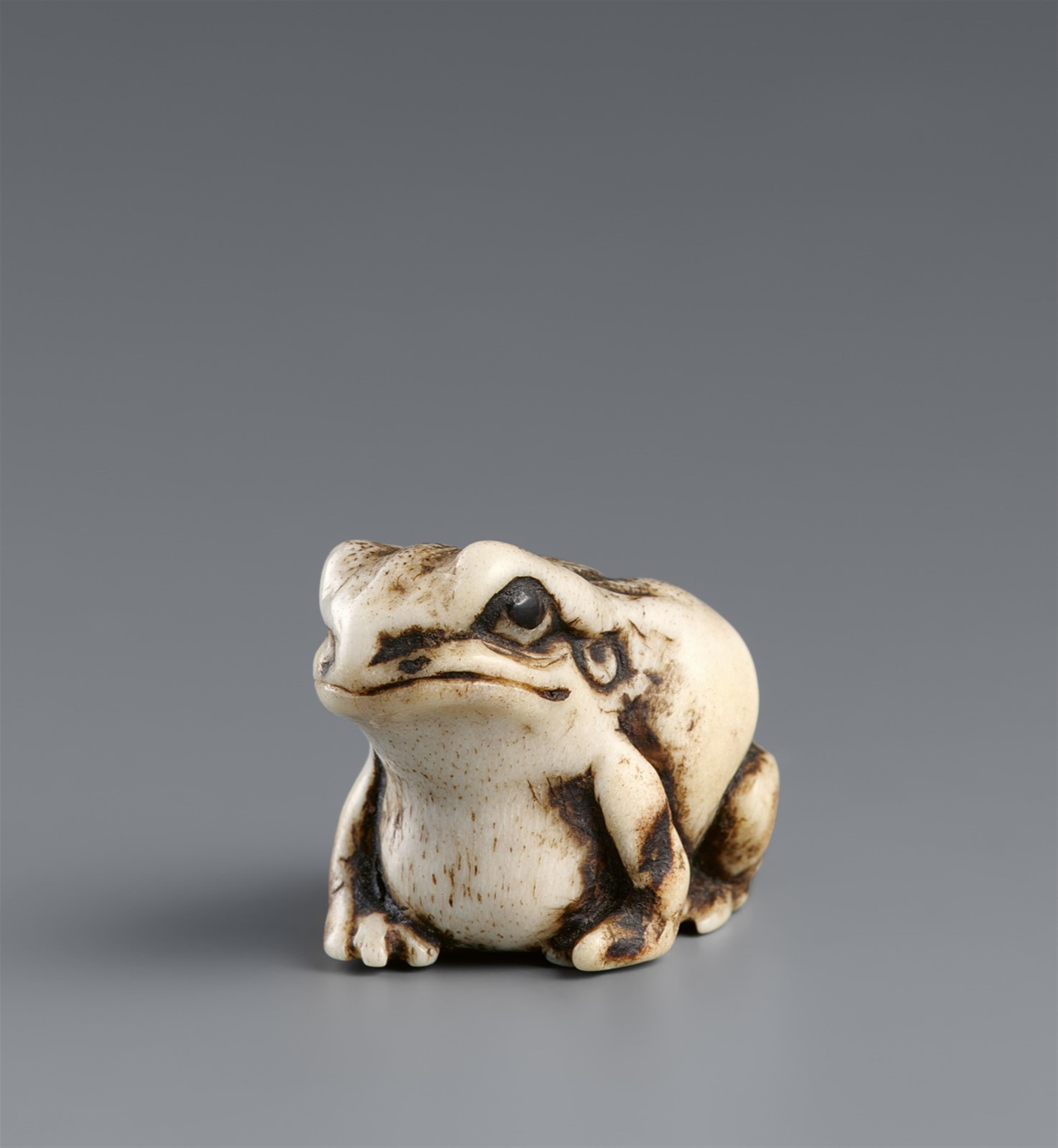 A stag antler ojime of a toad. 19th century - image-1
