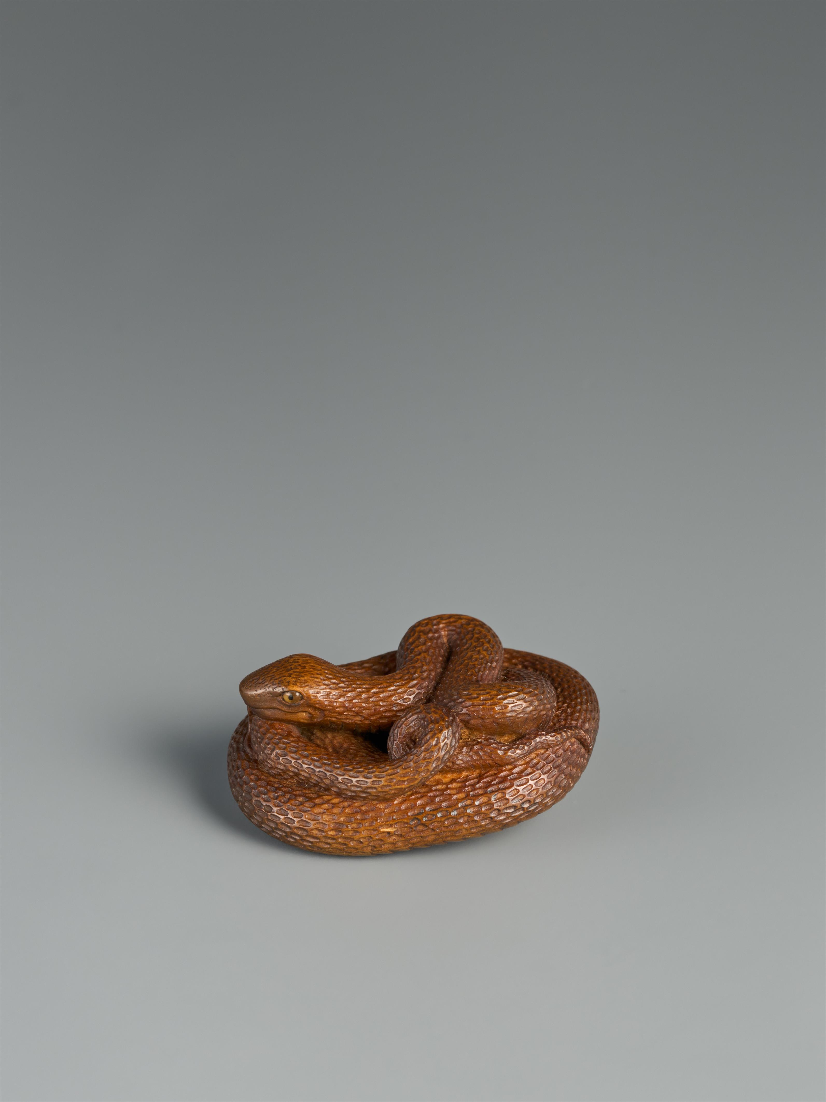 A lightly stained boxwood netsuke of a coiled snake. Probably Gifu. 19th century - image-2