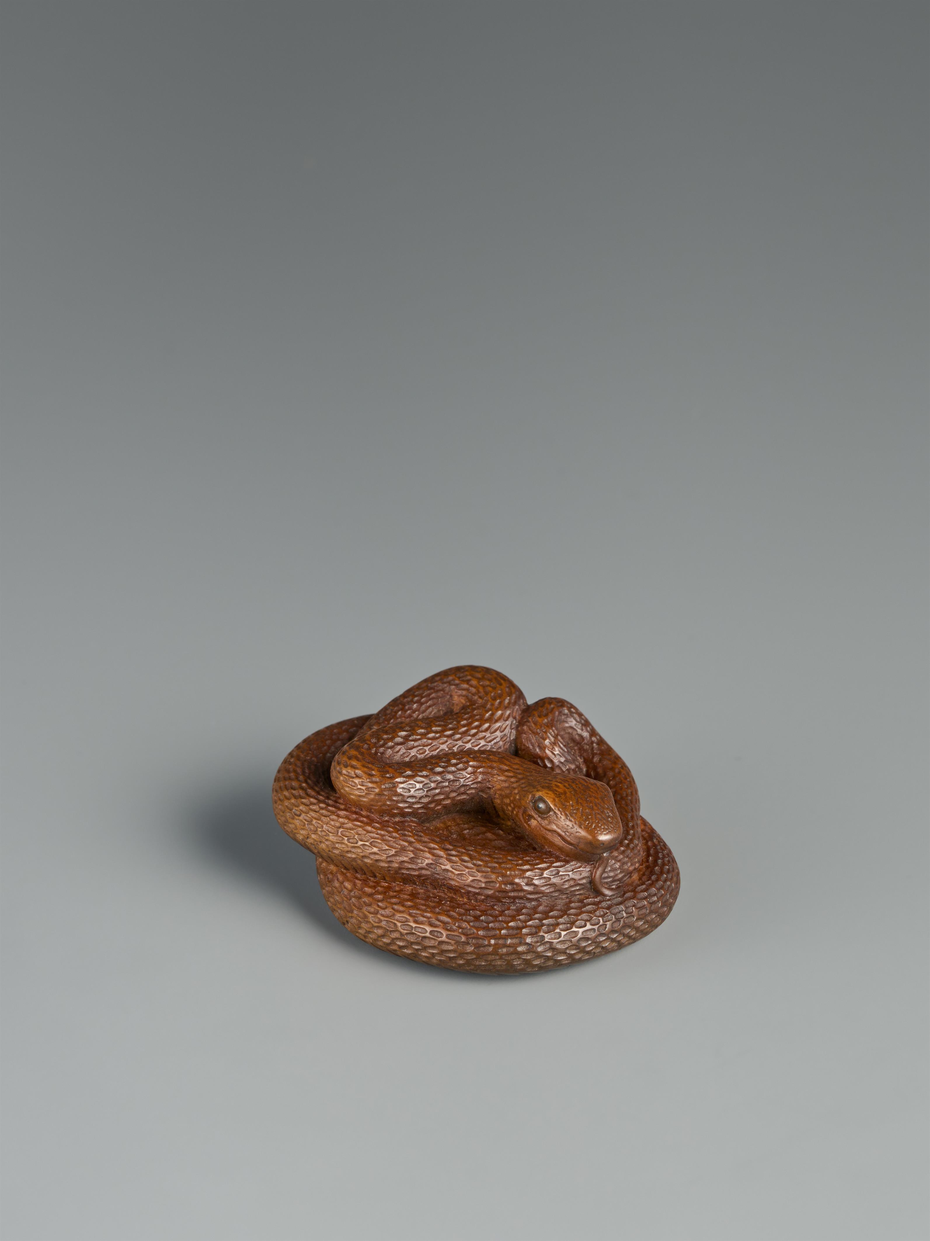 A lightly stained boxwood netsuke of a coiled snake. Probably Gifu. 19th century - image-3