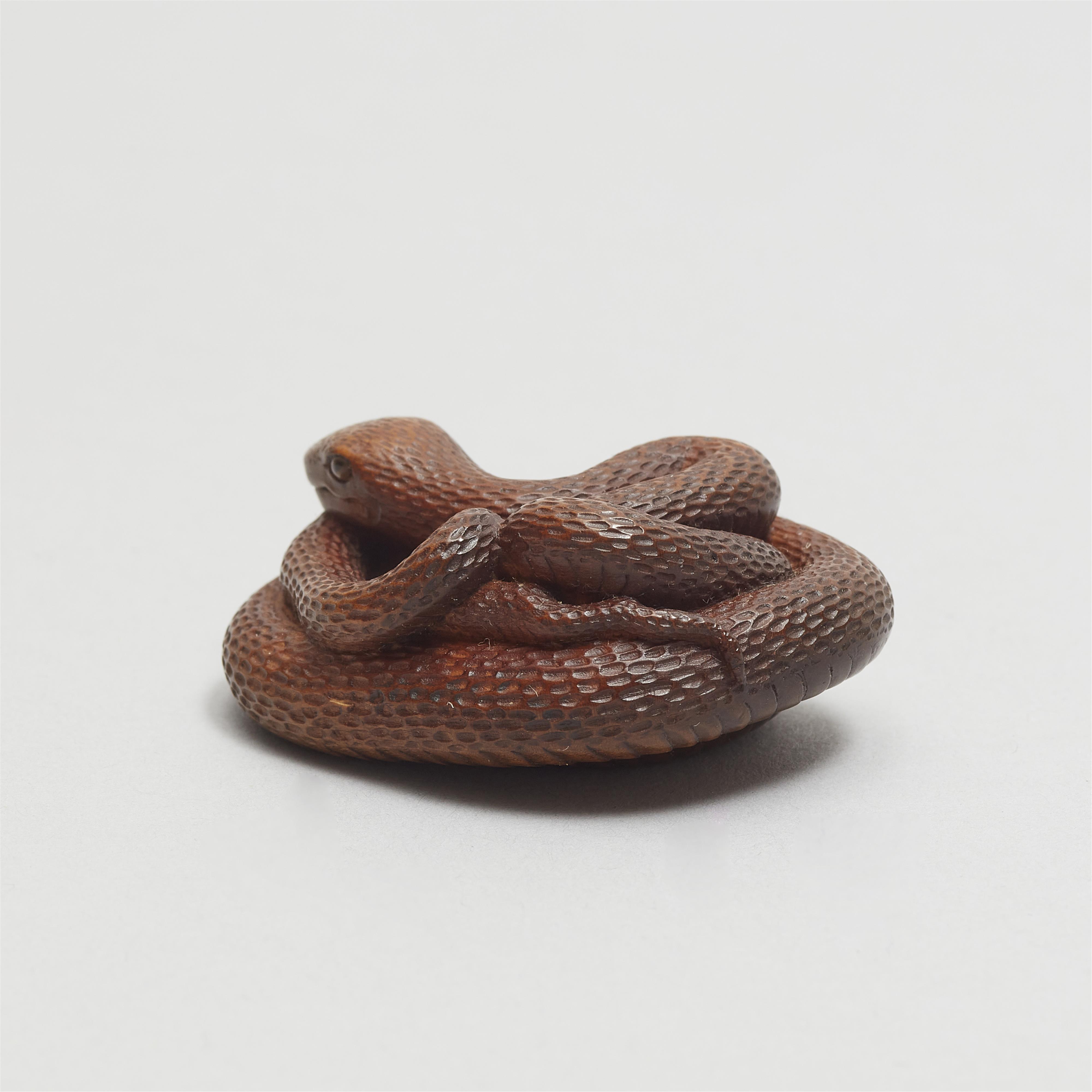 A lightly stained boxwood netsuke of a coiled snake. Probably Gifu. 19th century - image-6