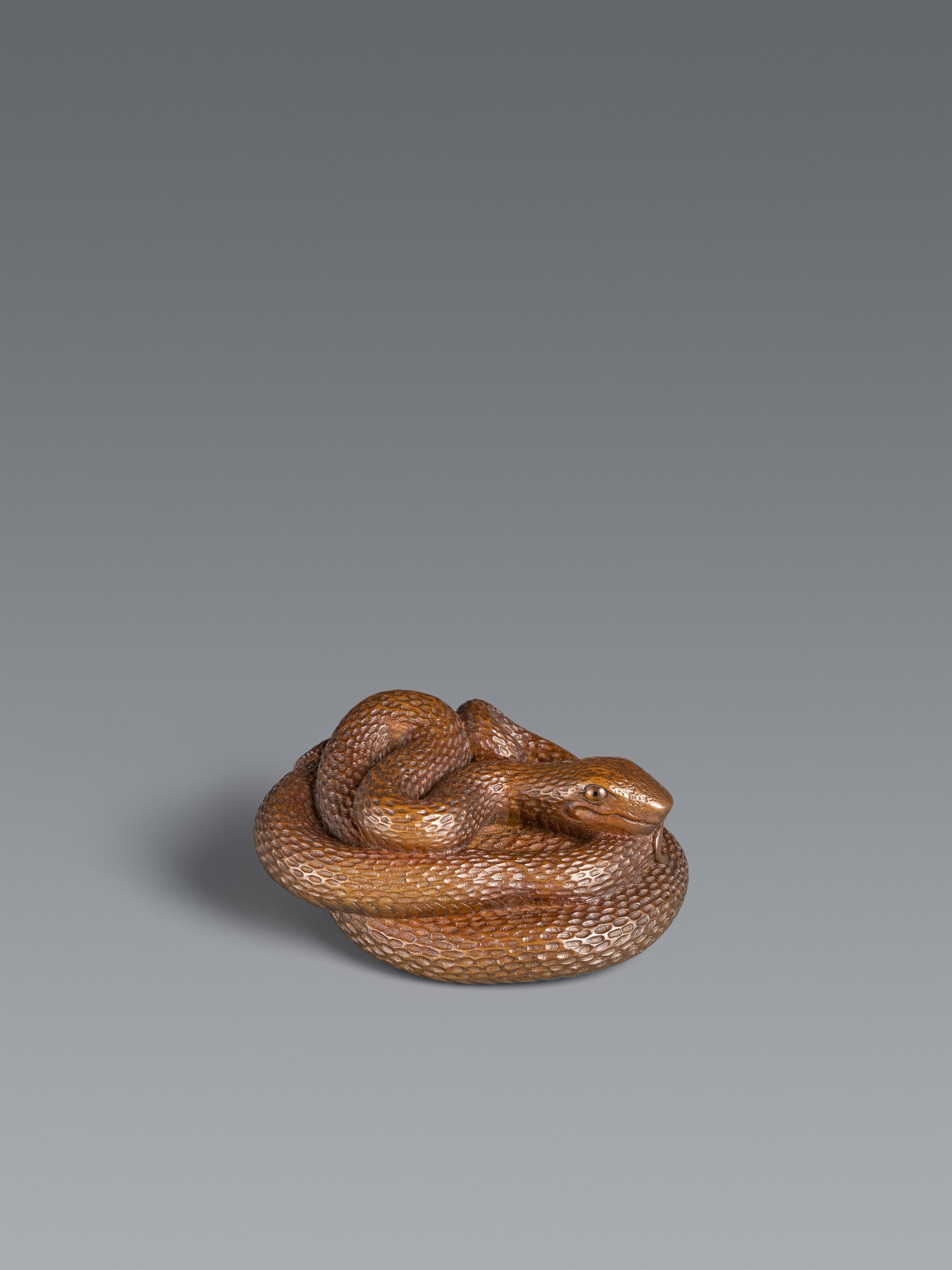A lightly stained boxwood netsuke of a coiled snake. Probably Gifu. 19th century - image-1