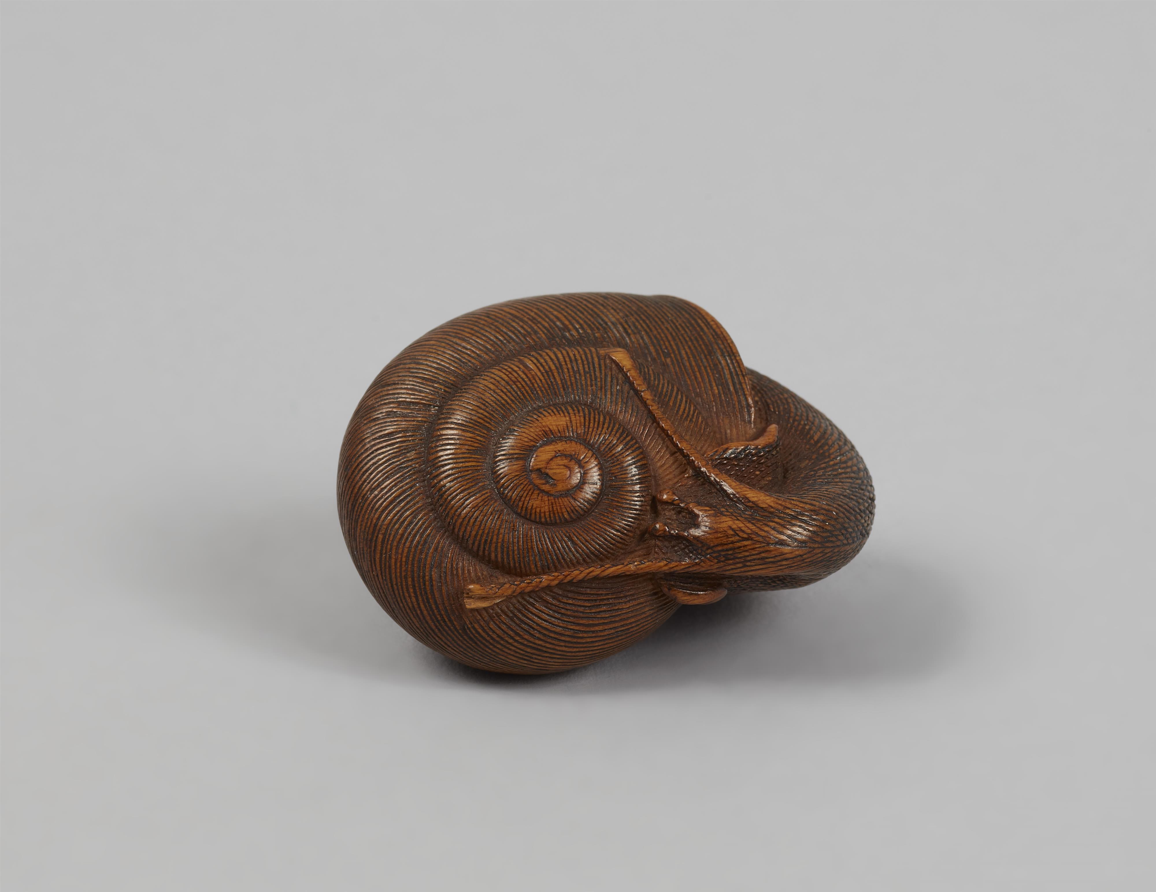 A good boxwood netsuke of a snail. 19th century - image-3