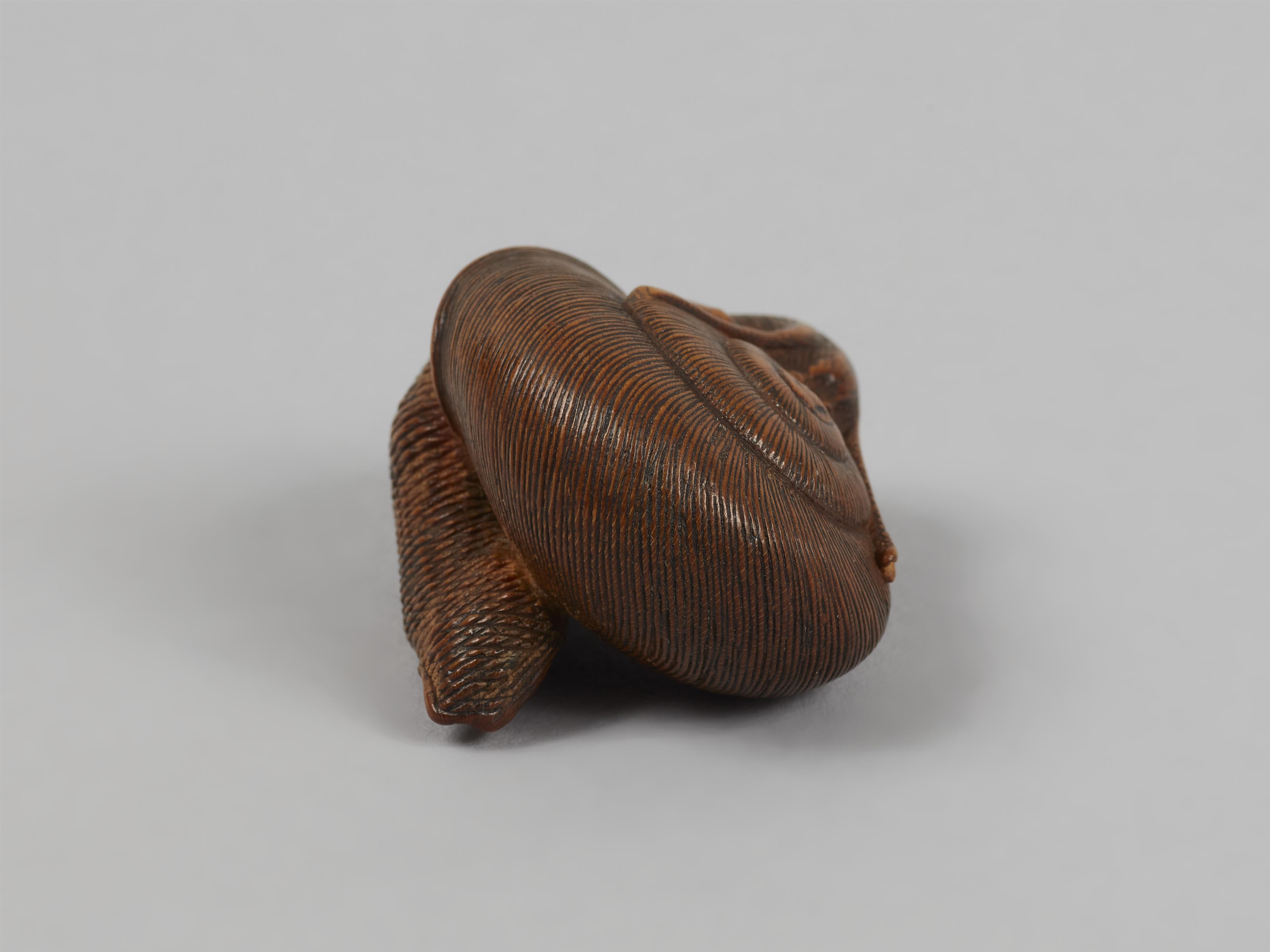 A good boxwood netsuke of a snail. 19th century - image-6