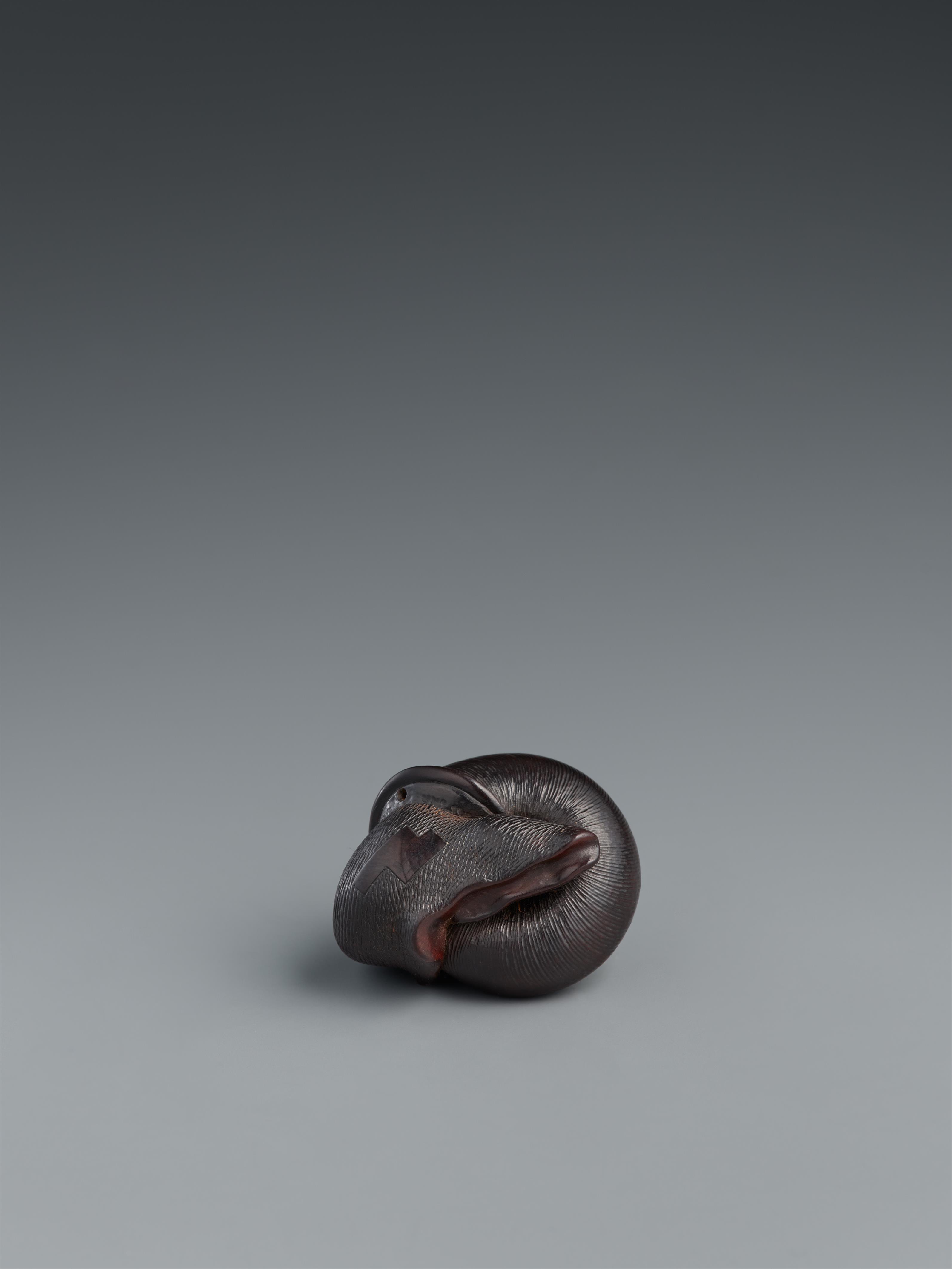 A dark stained boxwood netsuke of a snail. Nagoya. Mid-19th century - image-2