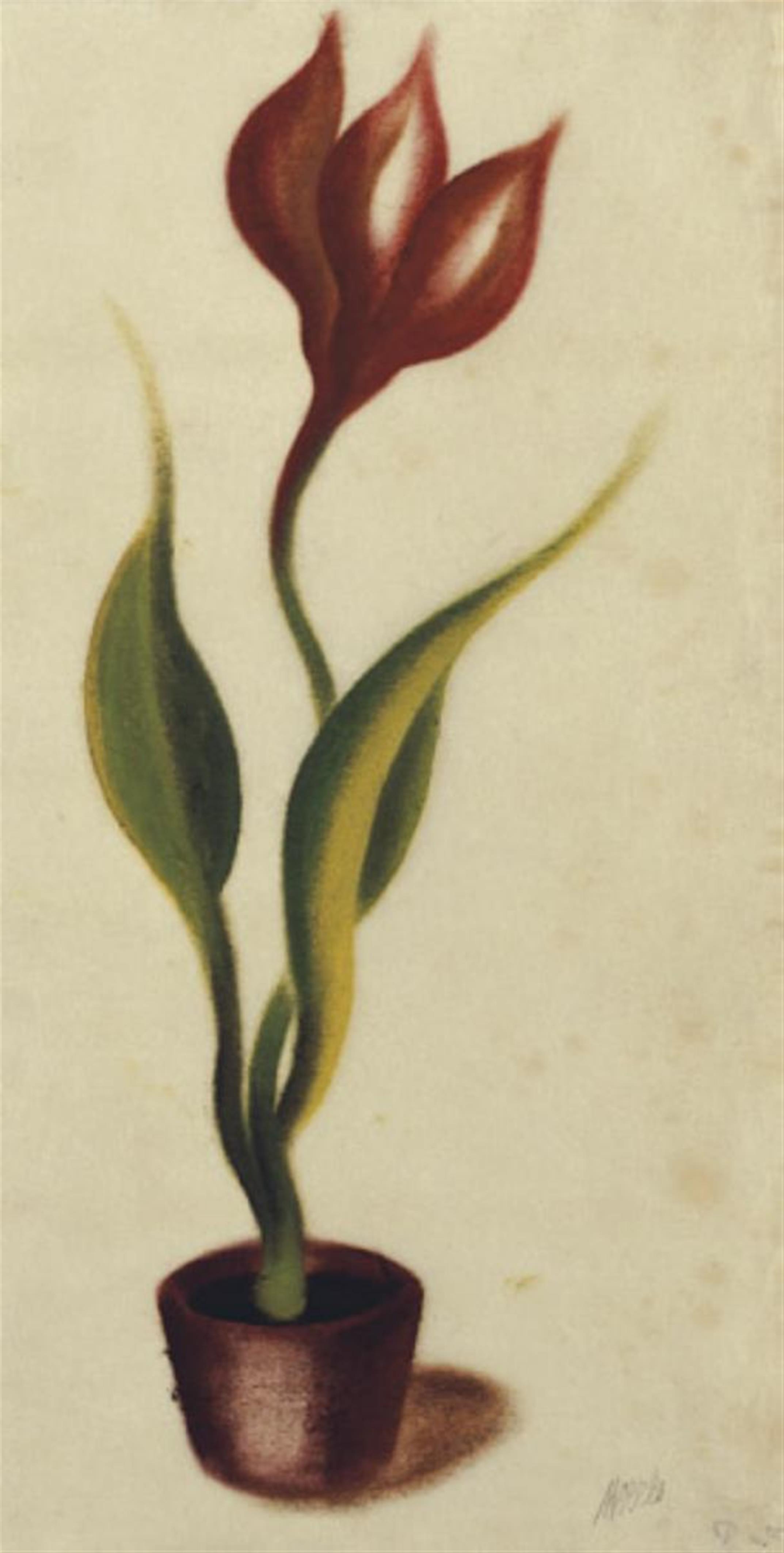 Heinrich Hoerle - Tulpe - image-1