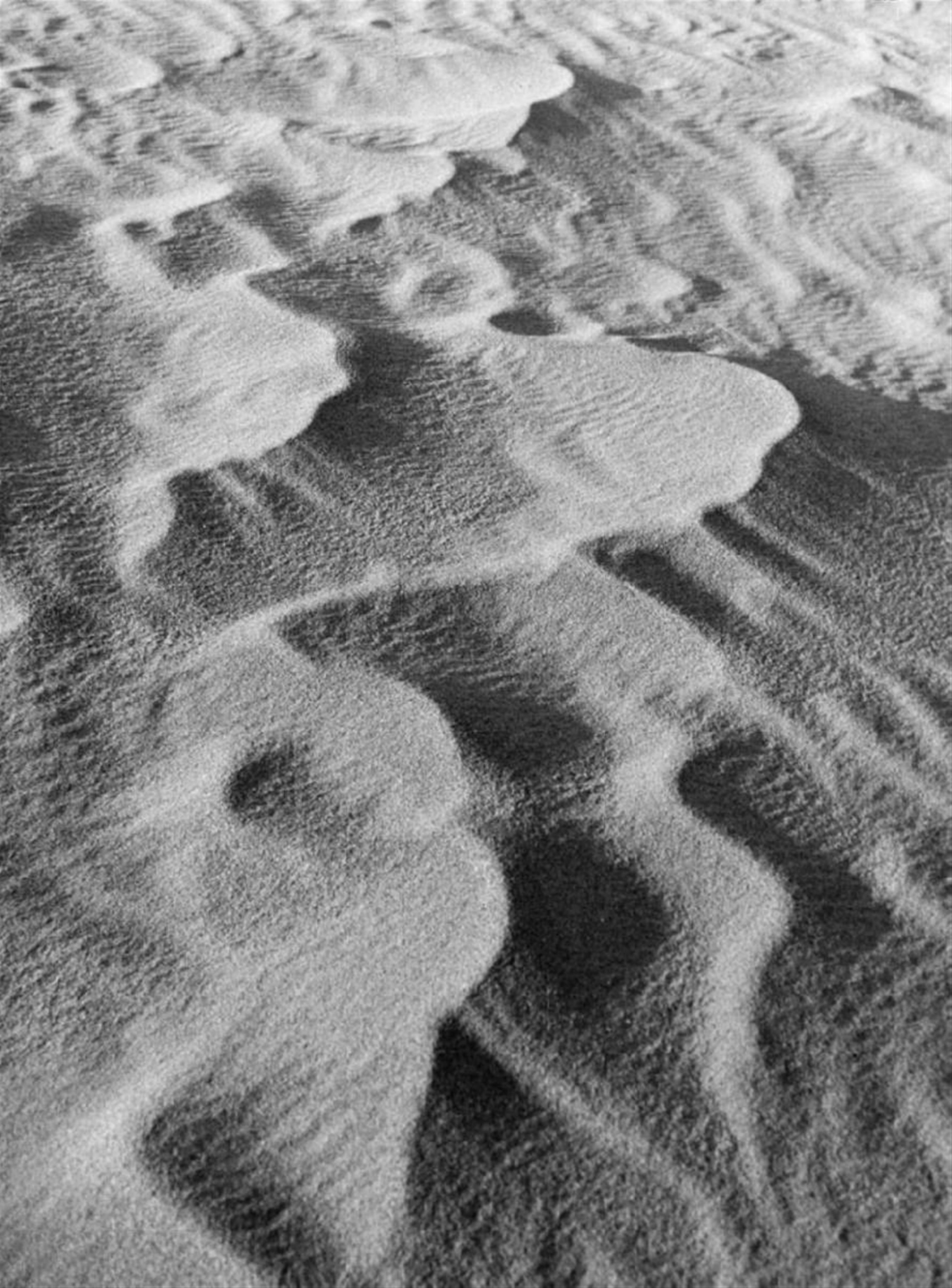 Alfred Ehrhardt - Ohne Titel (Sandformen) - image-1