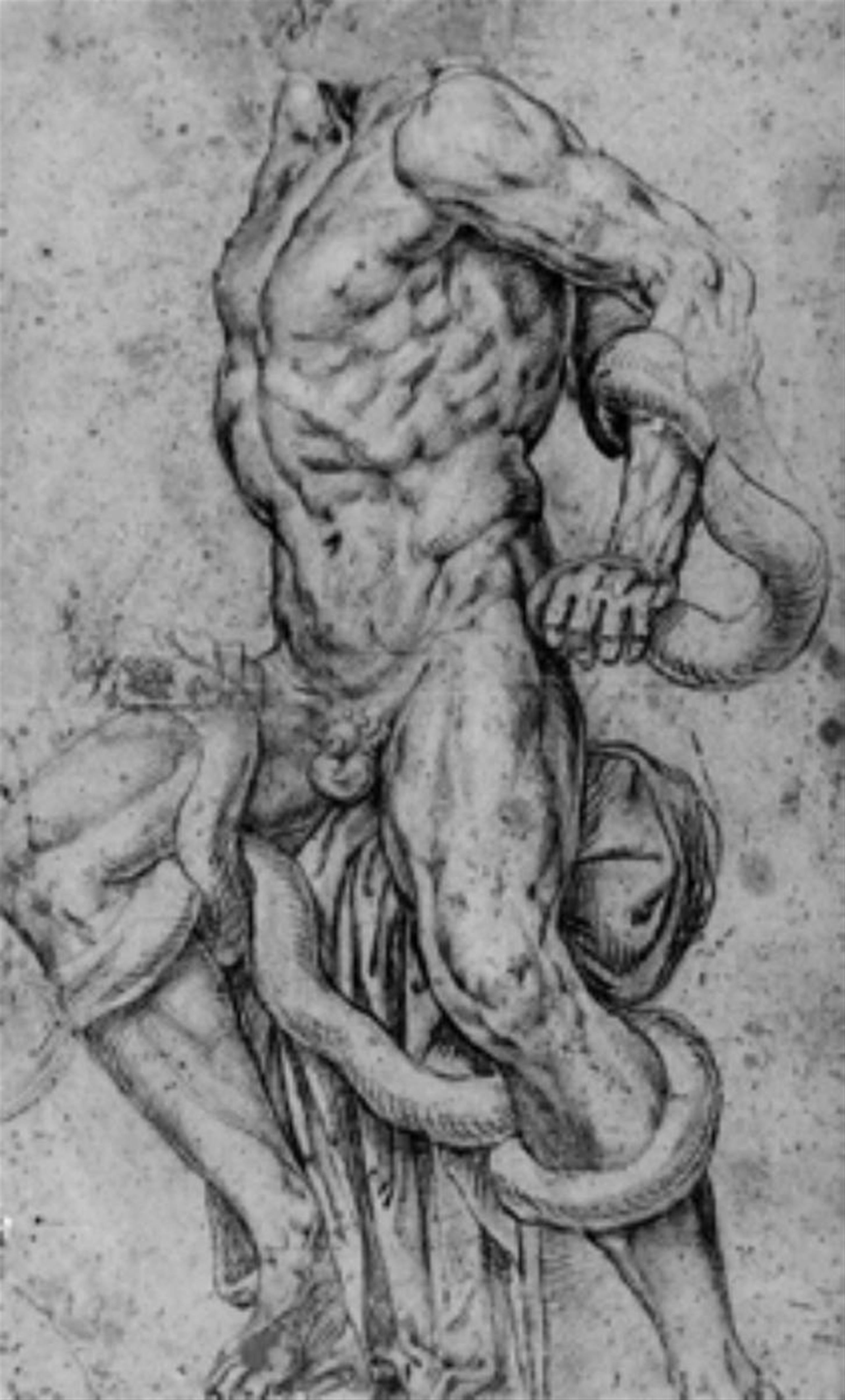 Römischer Meister des 17. Jahrhunderts - LAOKOON (verso Studie nach einer Statue der Caritas). - image-1