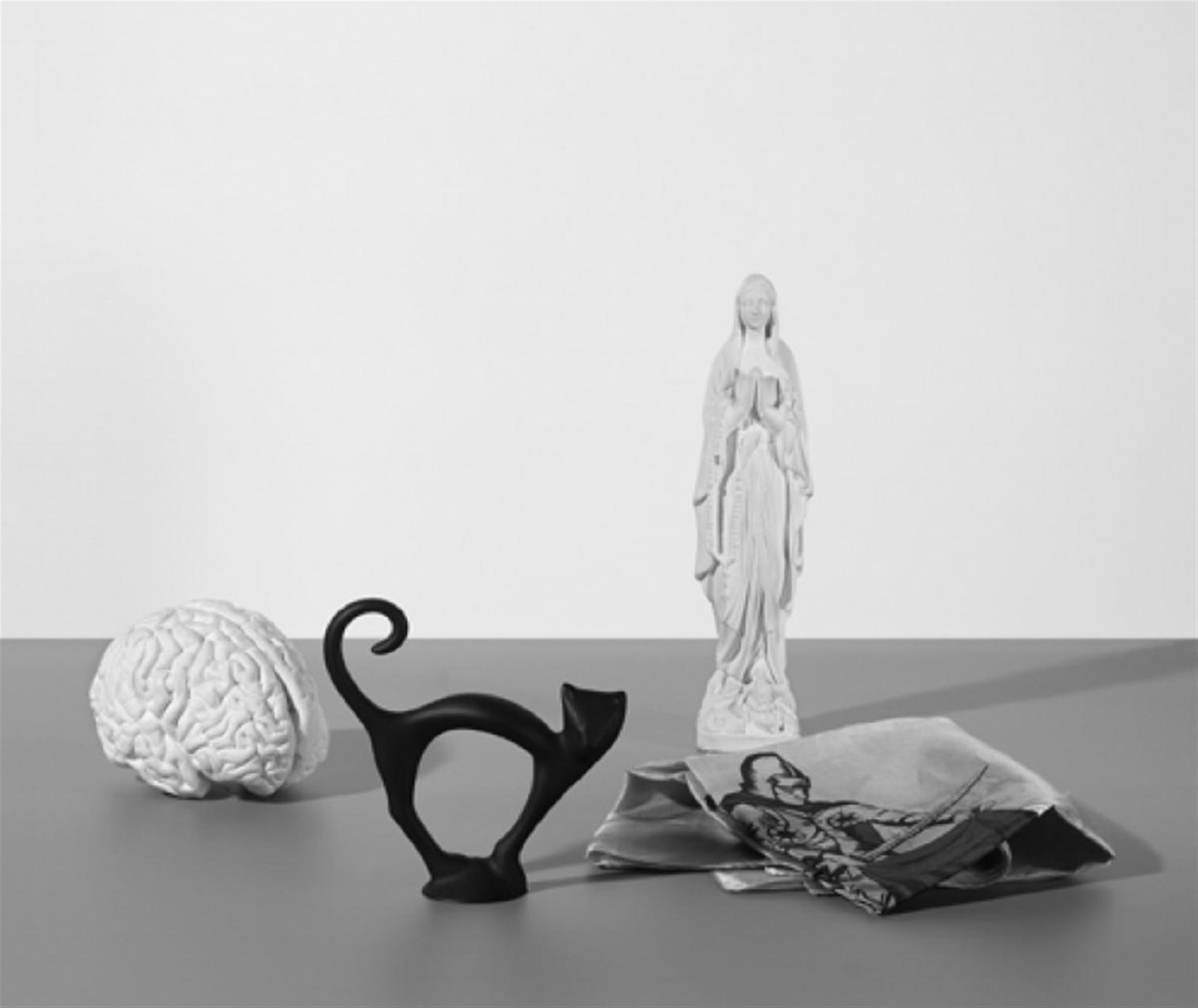 Katharina Fritsch - Katze, Tuch, Gehirn und Madonna - image-1