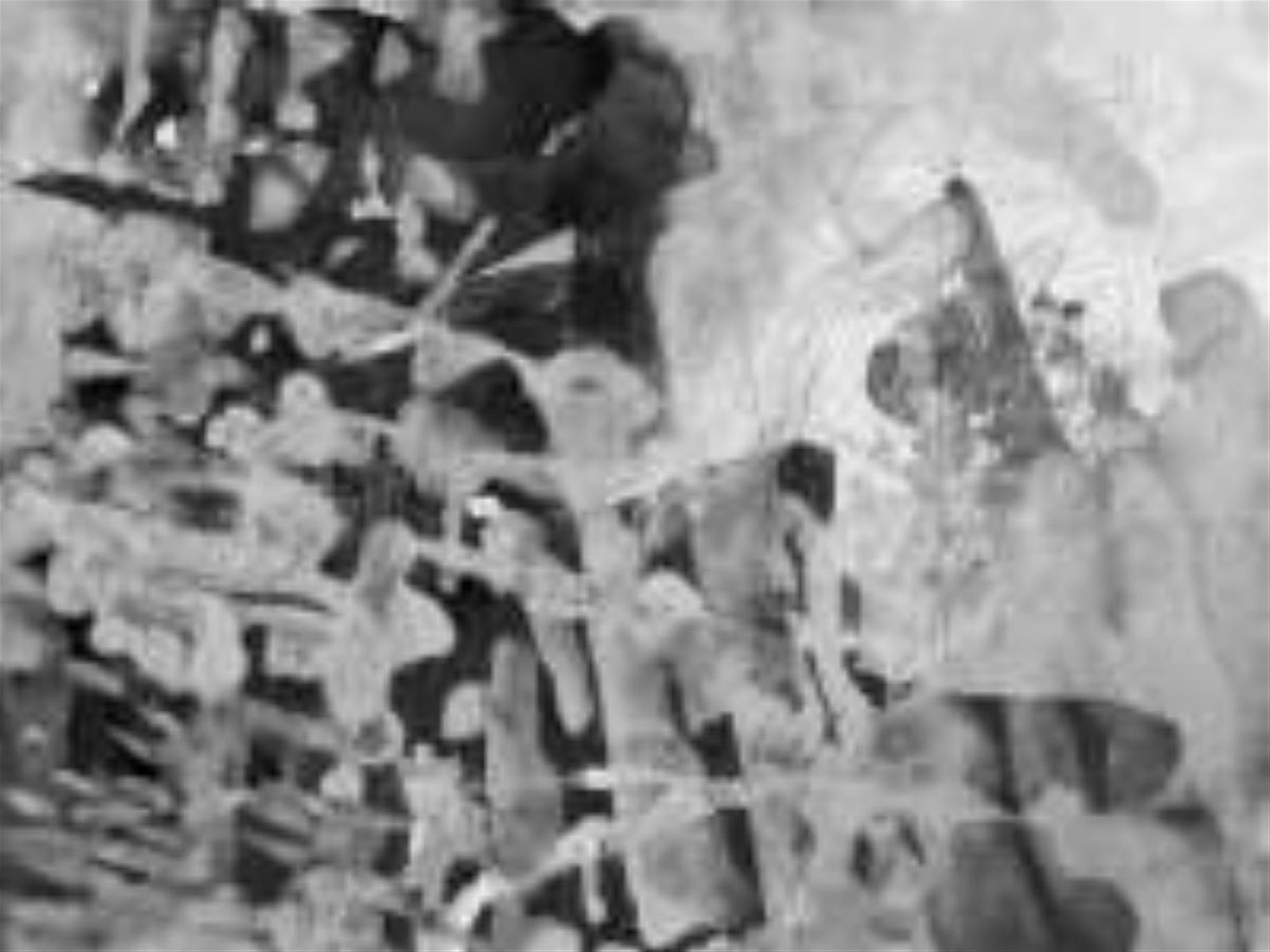 Gerhard Richter - IBM - image-1
