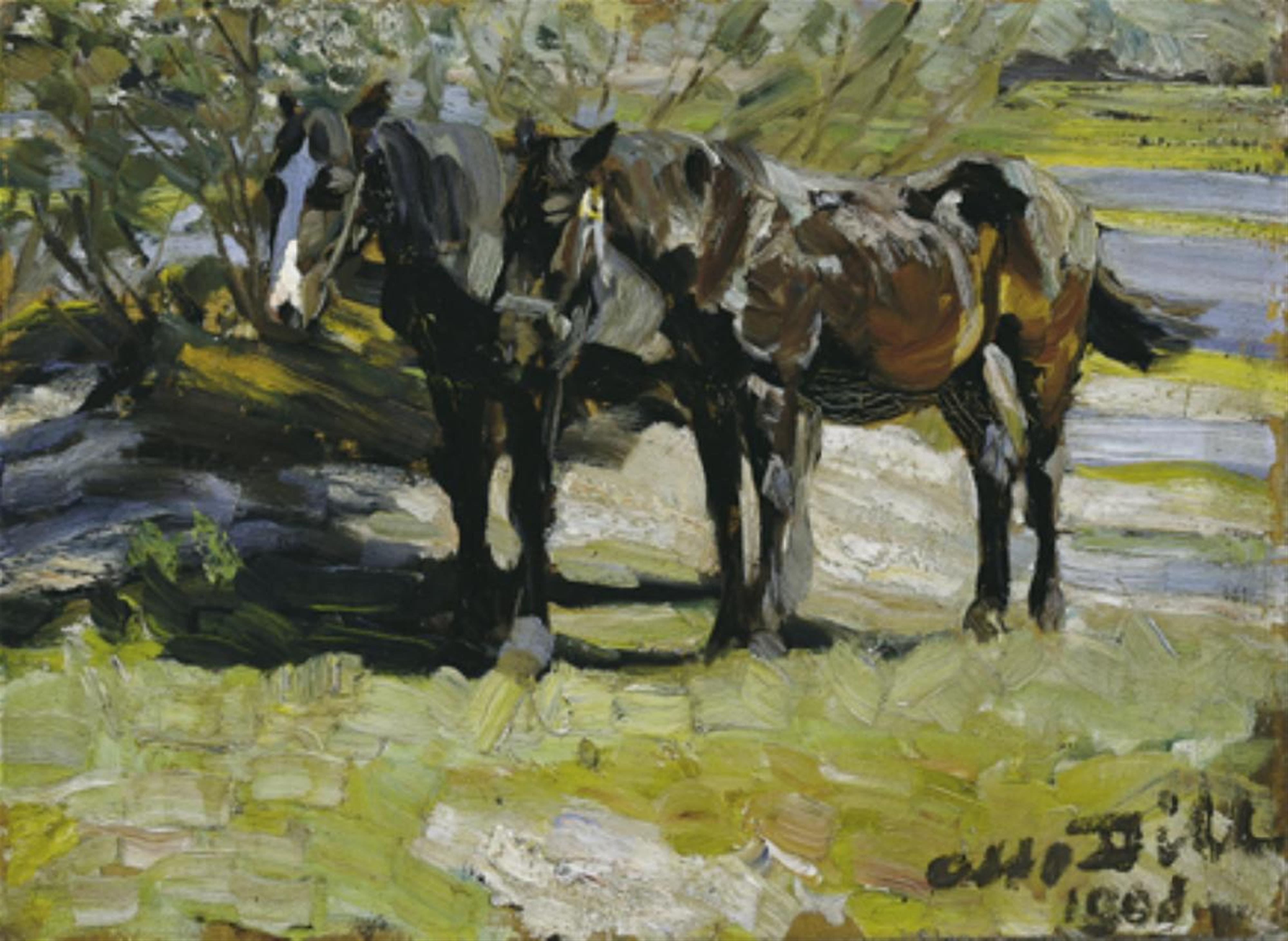Otto Dill - Bauernpferde auf der Weide - image-1