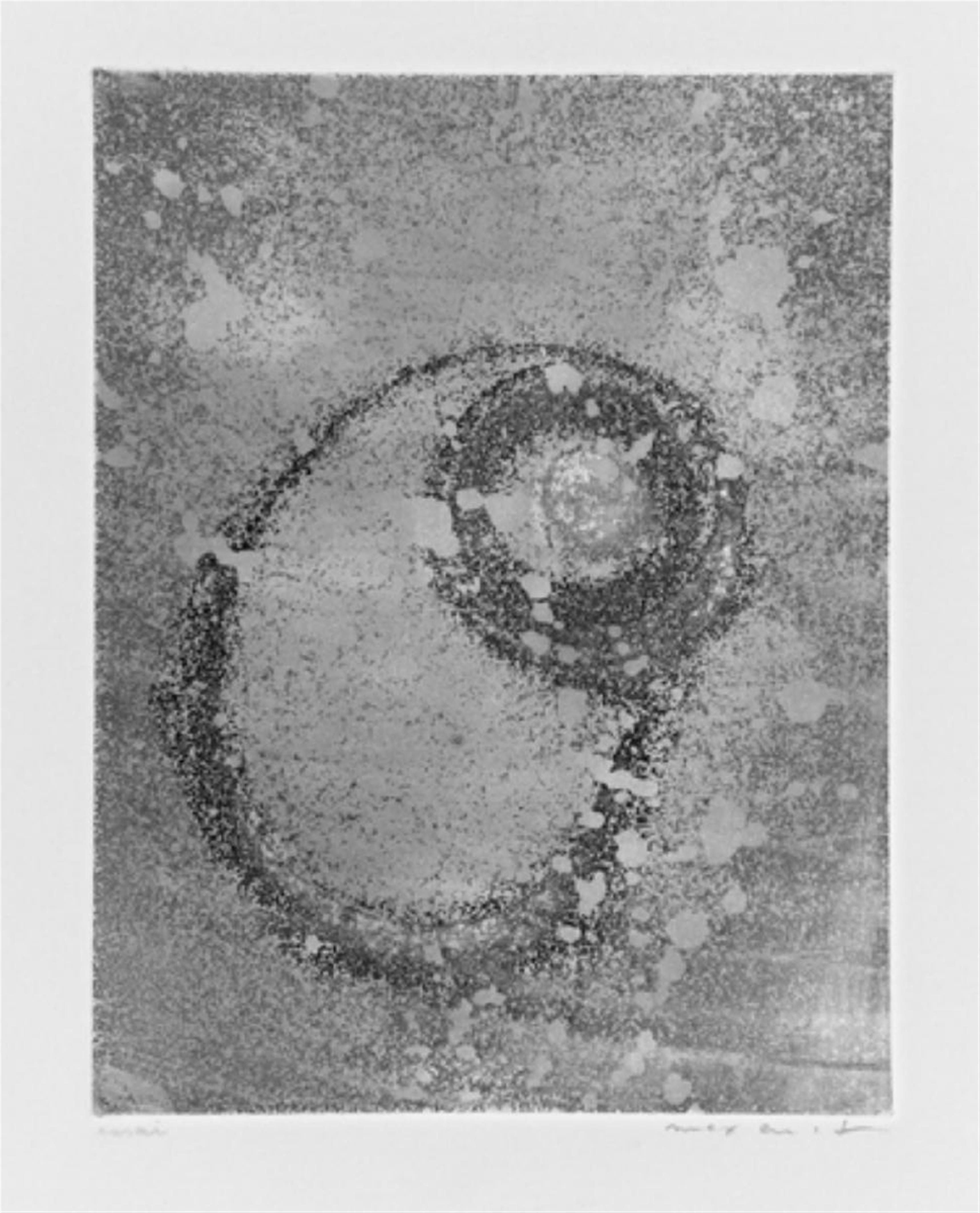 Max Ernst - Terre des nébuleuses - image-1