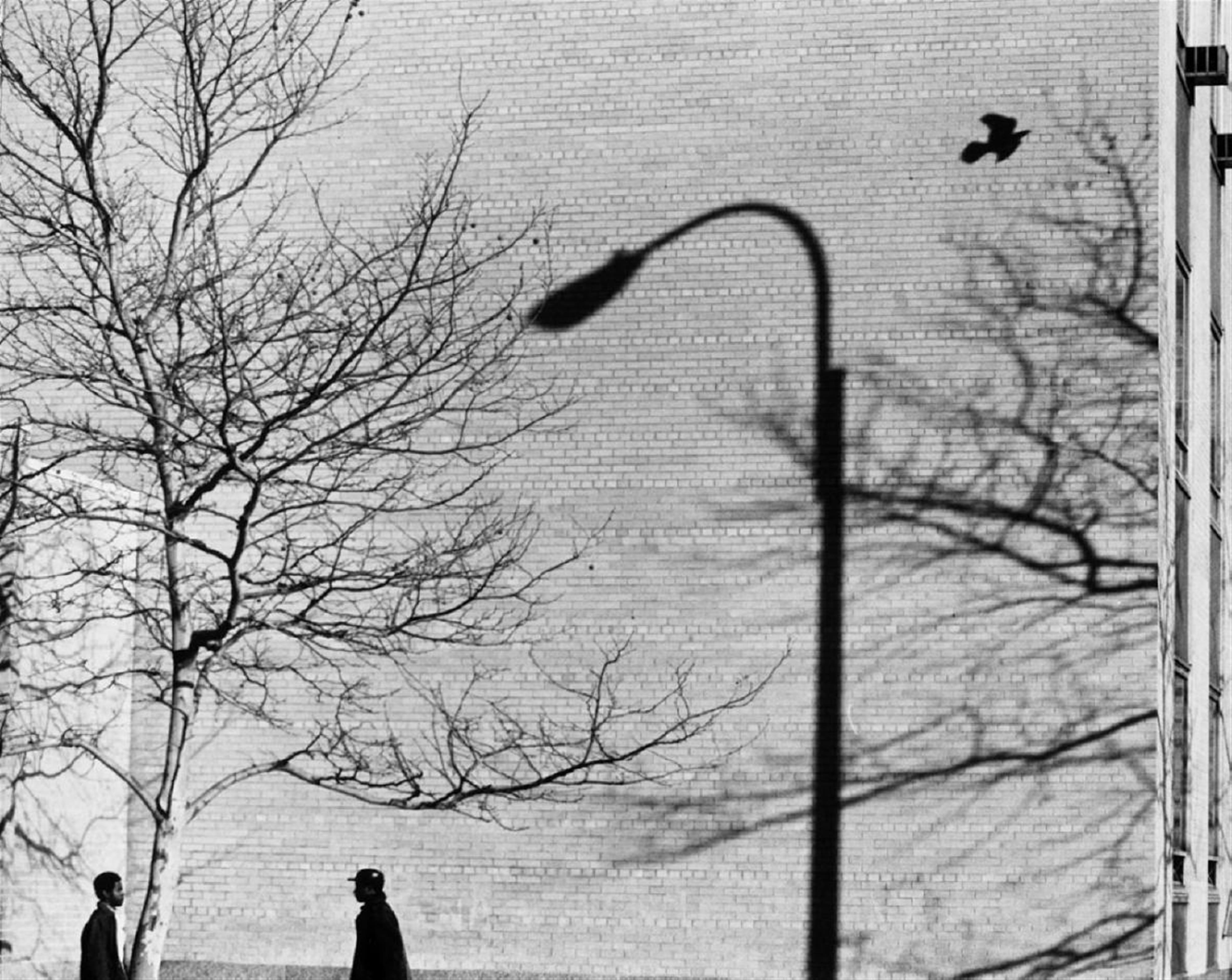 André Kertész - In the Street - image-1