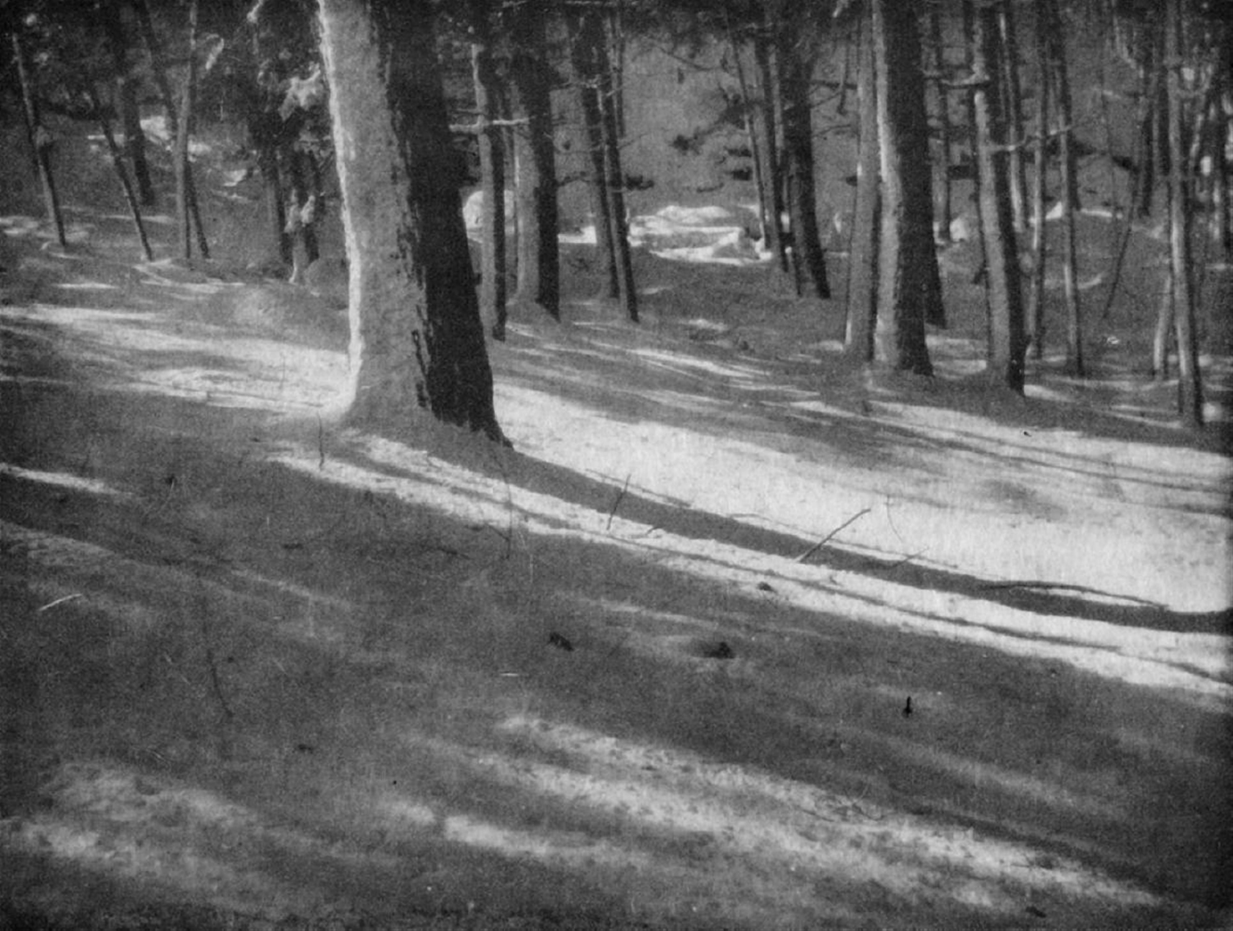 Camera Work / Alvin Langdon Coburn - Winter Shadows - image-1