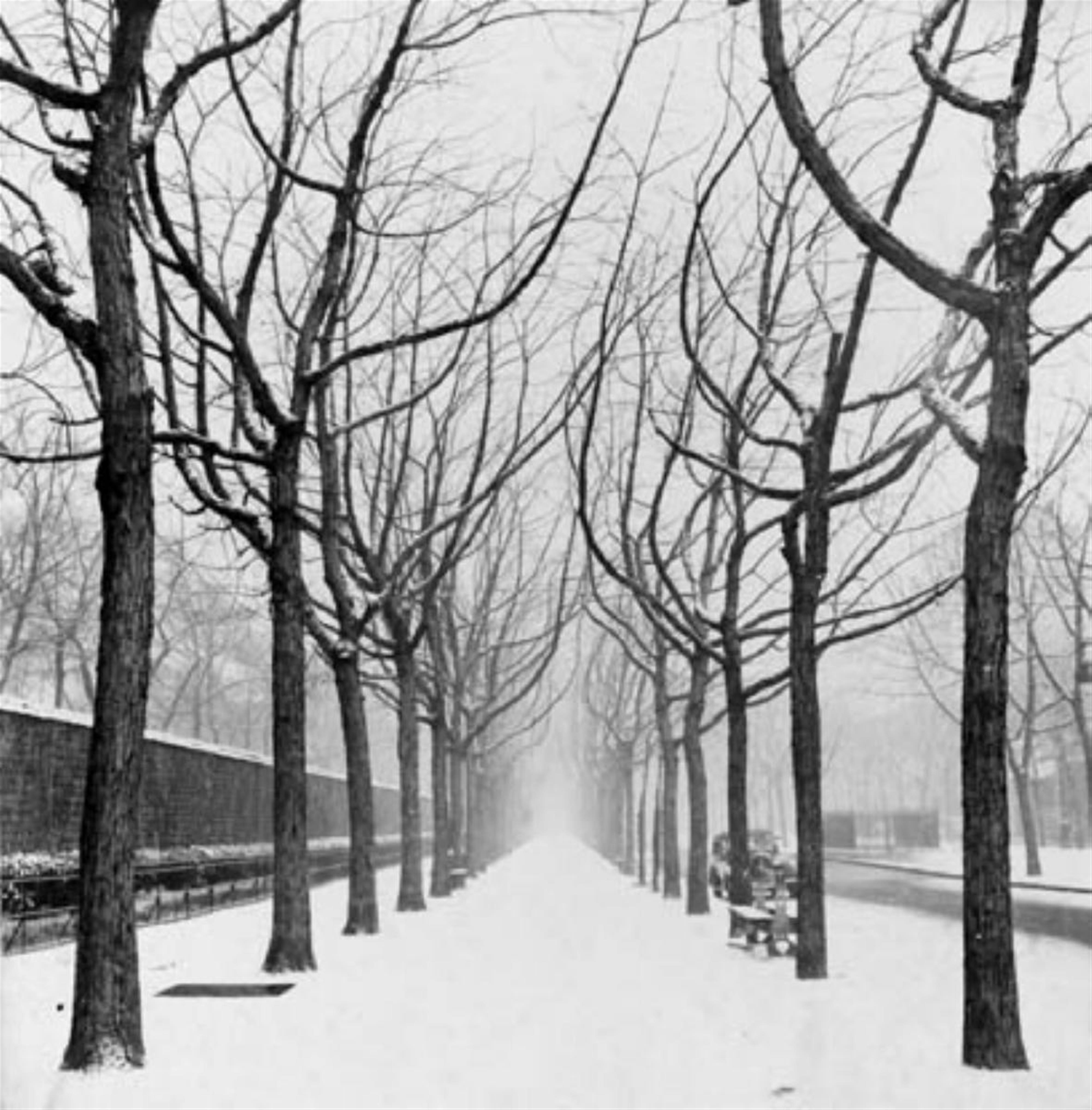 Herbert Tobias - Allee Edgar Quinet im Winter - image-1