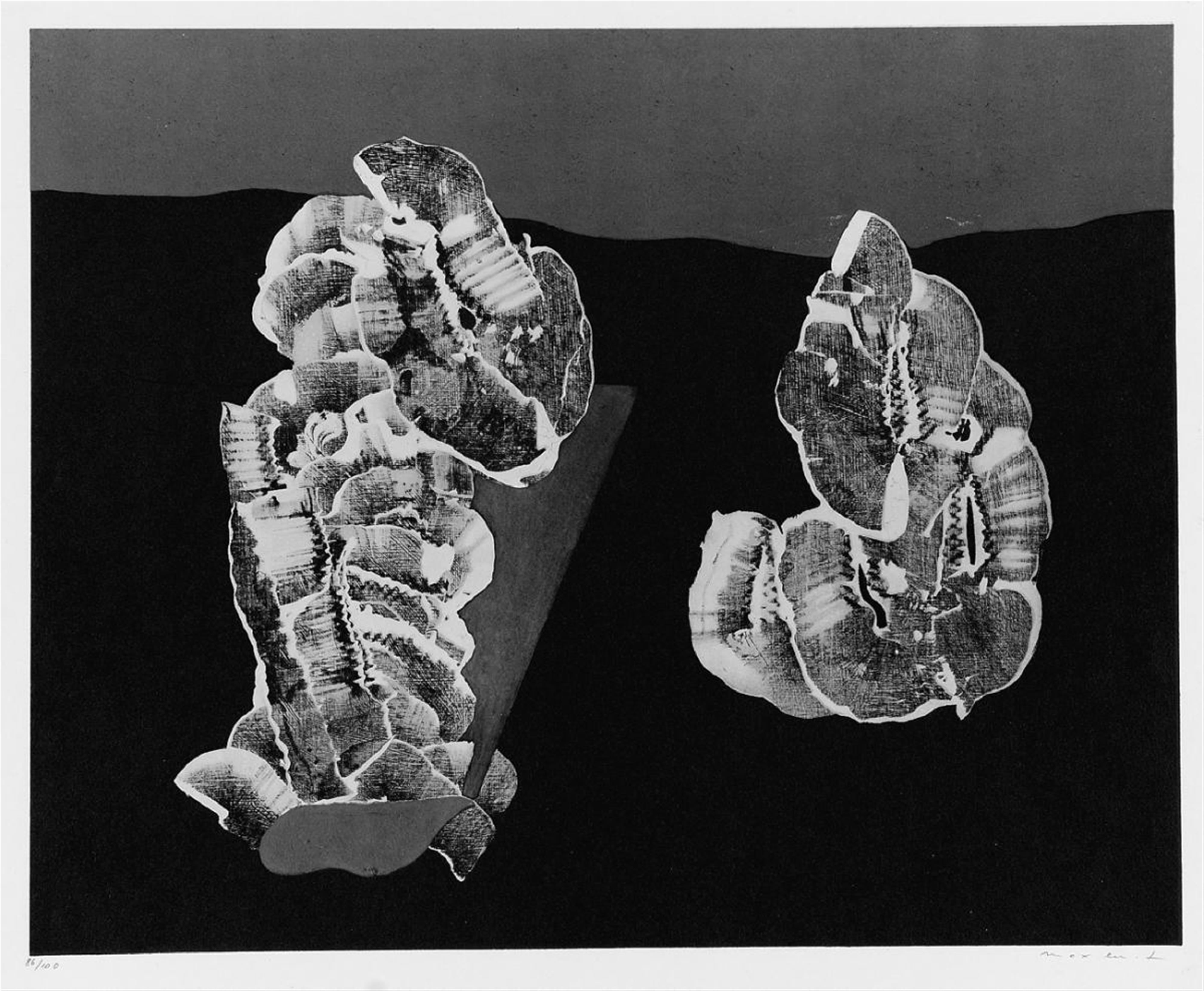 Nach Max Ernst - Fleurs Coquillages - image-2