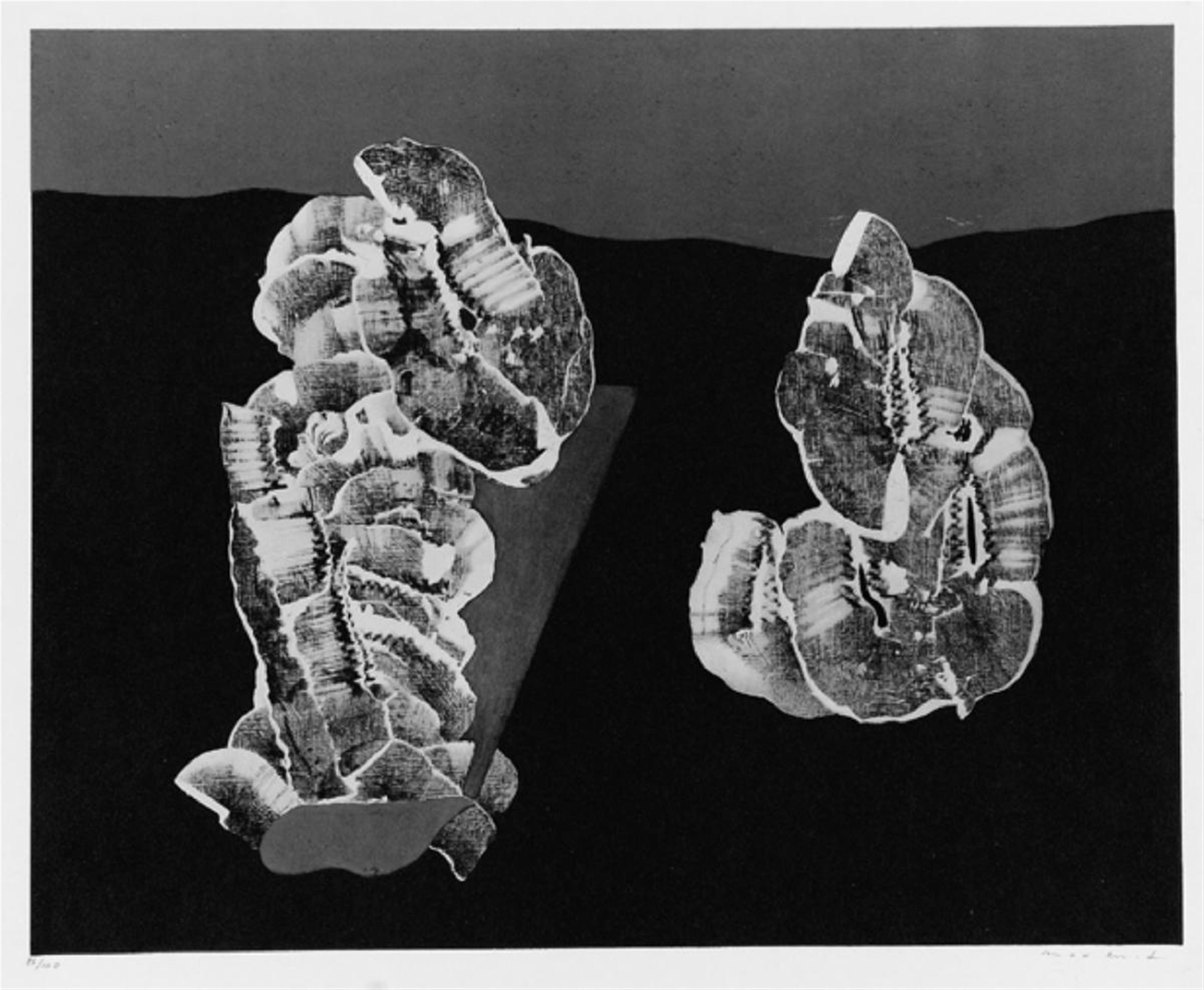 Nach Max Ernst - Fleurs Coquillages - image-1