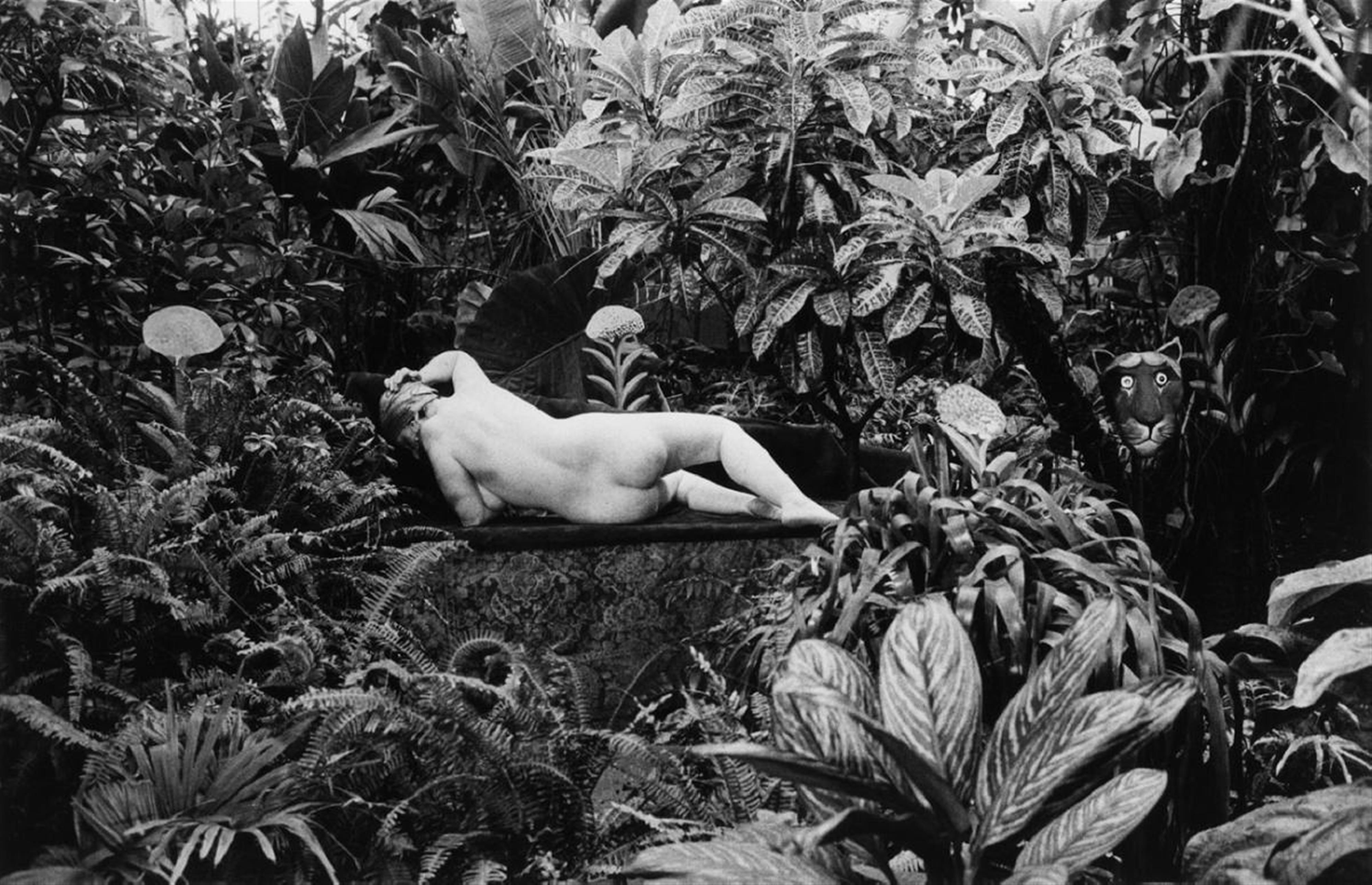 Édouard Boubat - Hommage an Douanier Rousseau, Jardin des Plantes, Paris - image-1