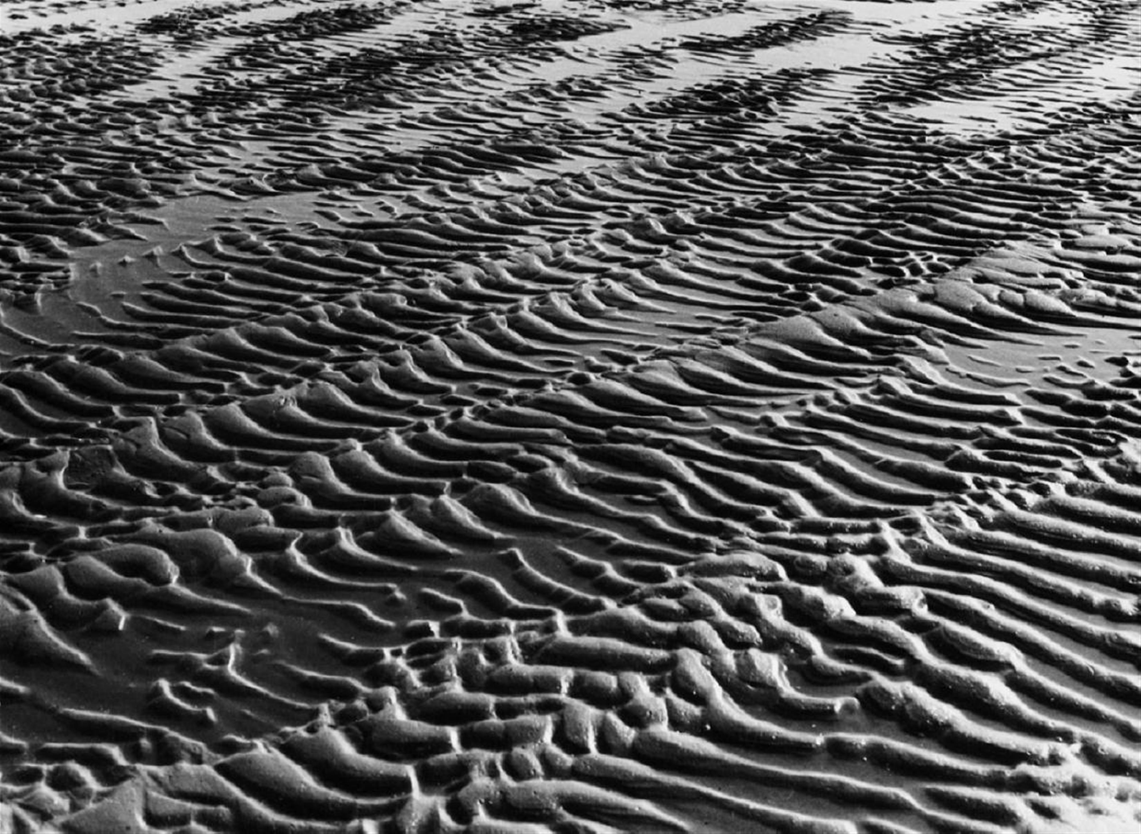 Alfred Ehrhardt - Rippenartige Struktur im Sandboden des Watts - image-1