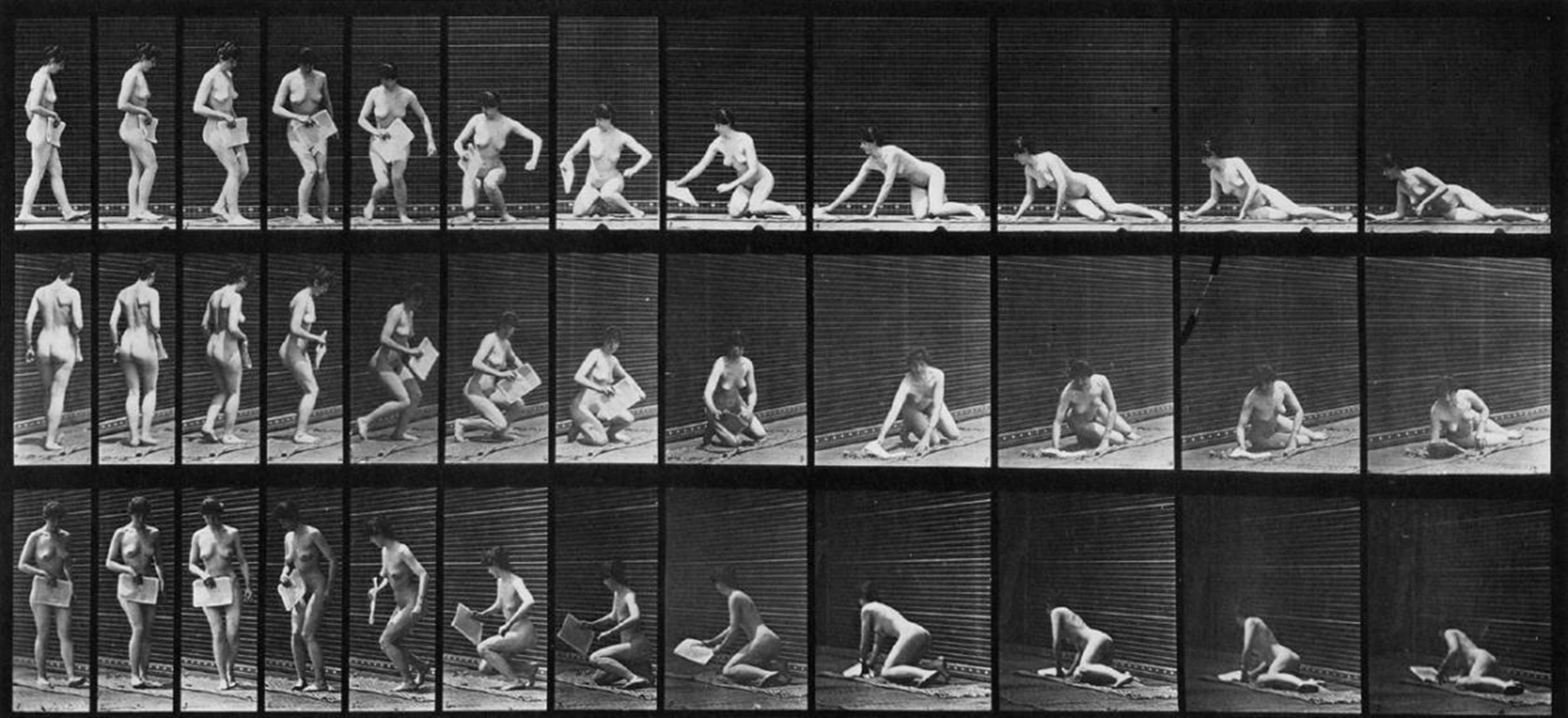 Eadweard Muybridge - Animal Locomotion, Plates 149, 252, 256, 266 - image-1