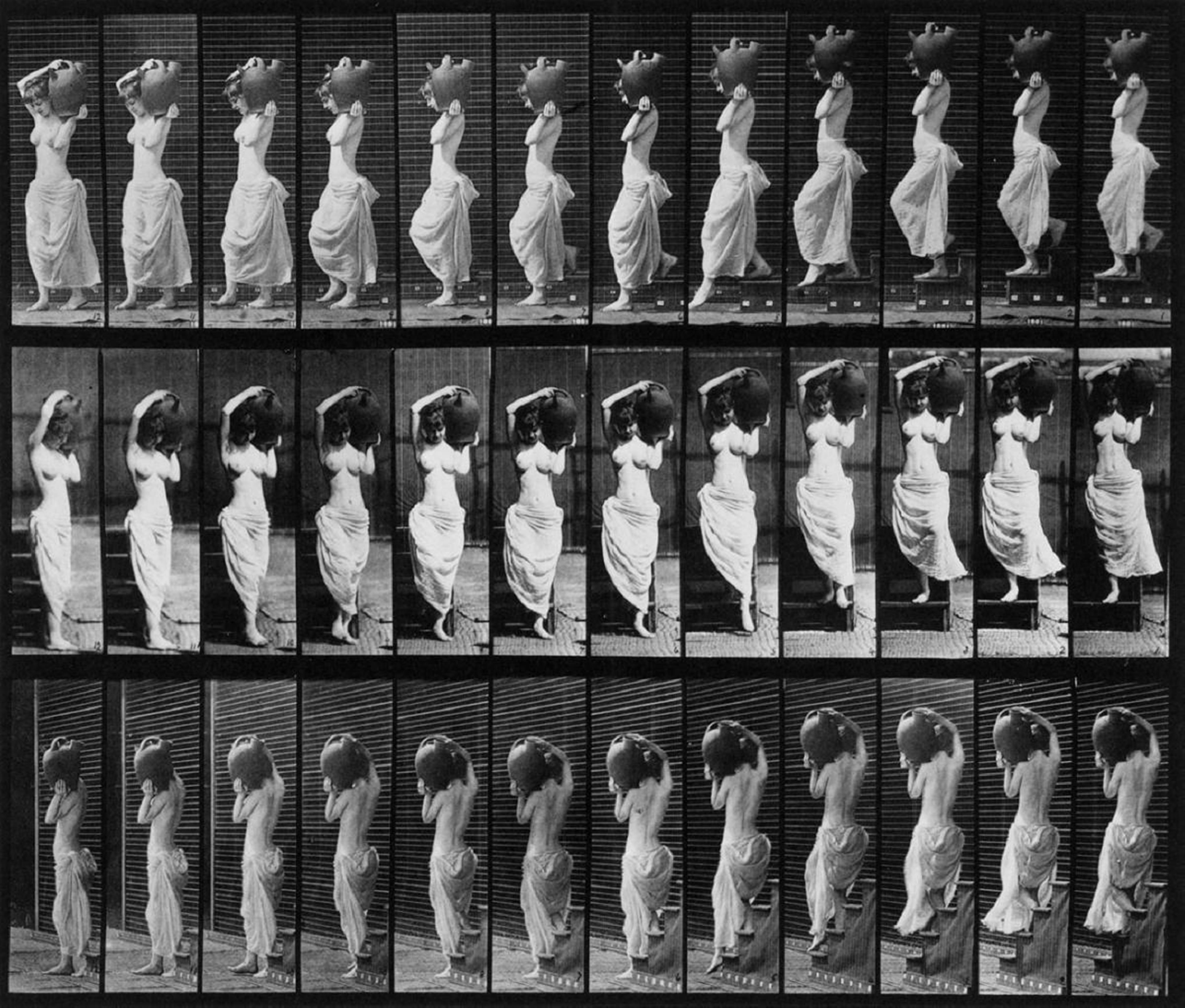 Eadweard Muybridge - Animal Locomotion, Plate 146 - image-1
