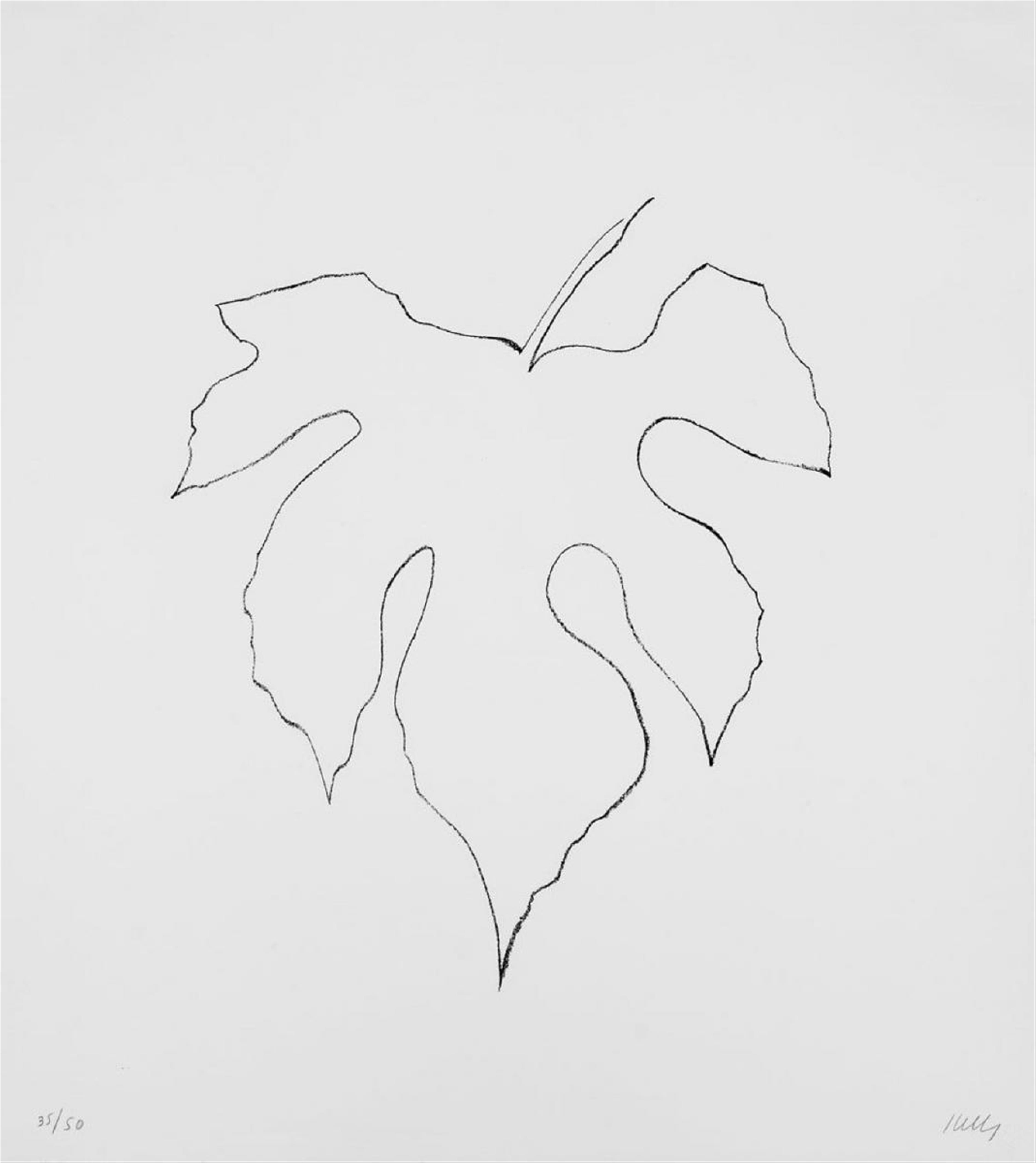 Ellsworth Kelly - Wild Grape Leaf - image-1