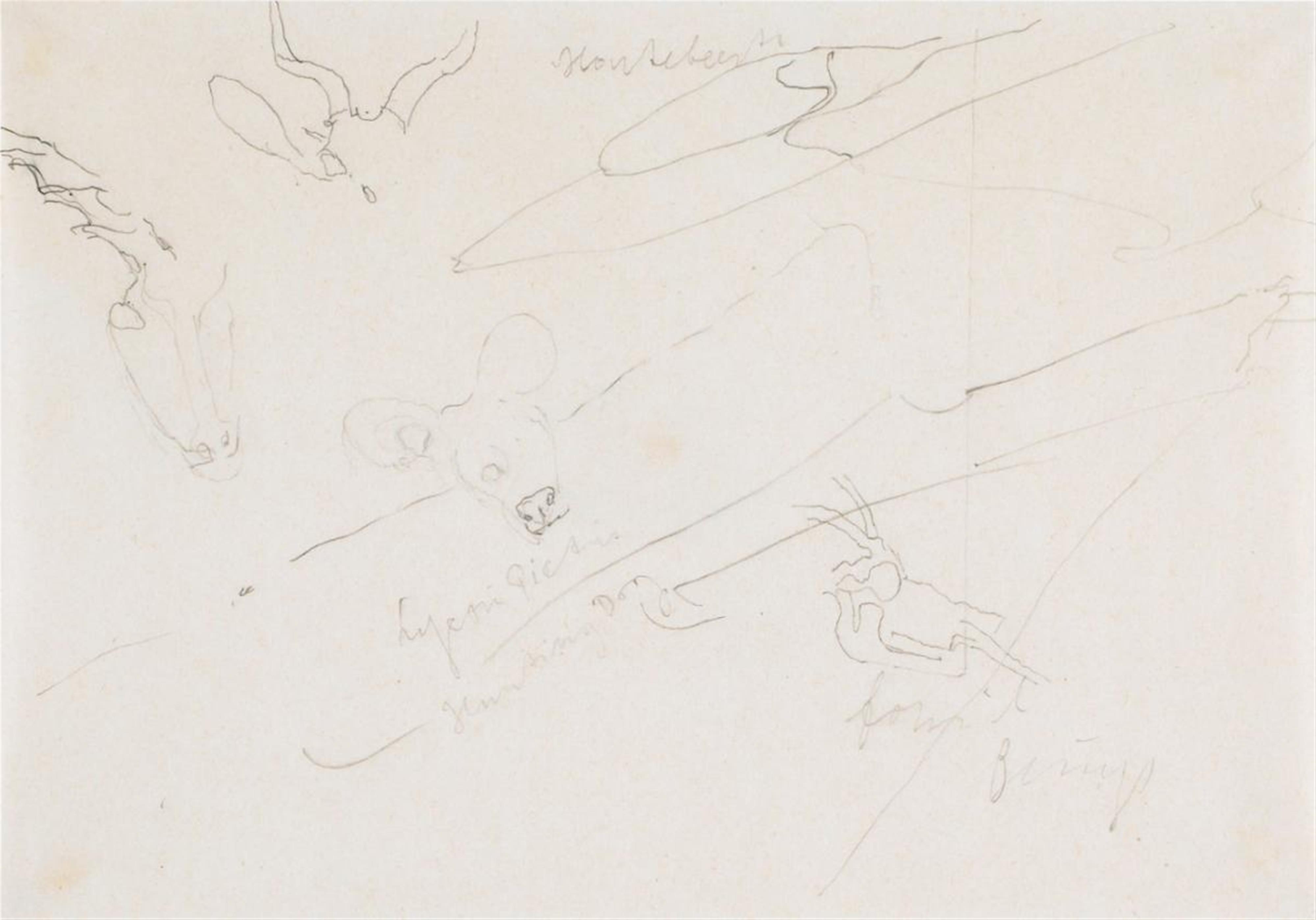 Joseph Beuys - Ohne Titel (Tiere) - image-1
