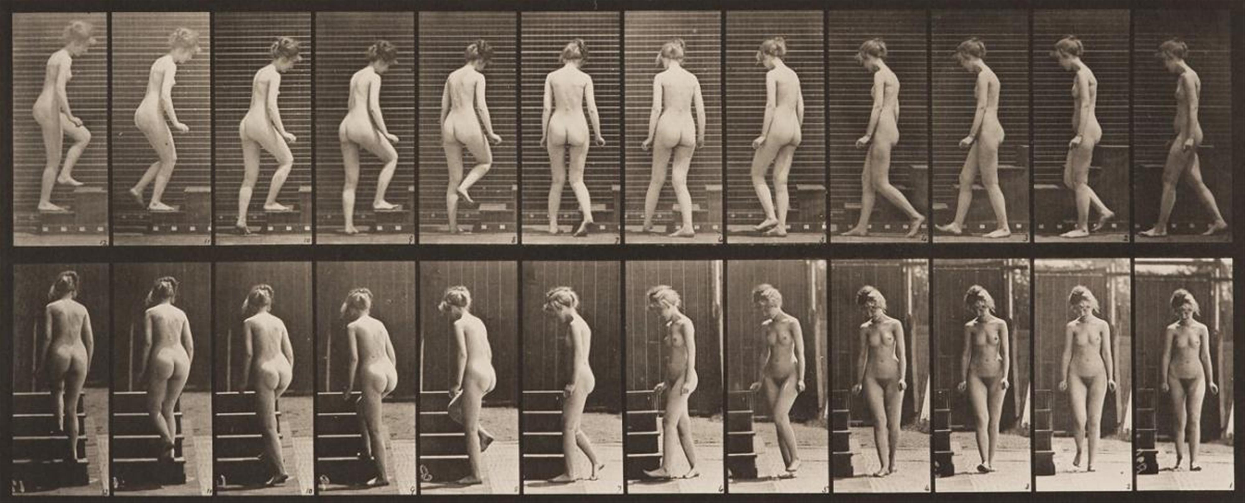 Eadweard Muybridge - ANIMAL LOCOMOTION, PLATE 98 - image-1