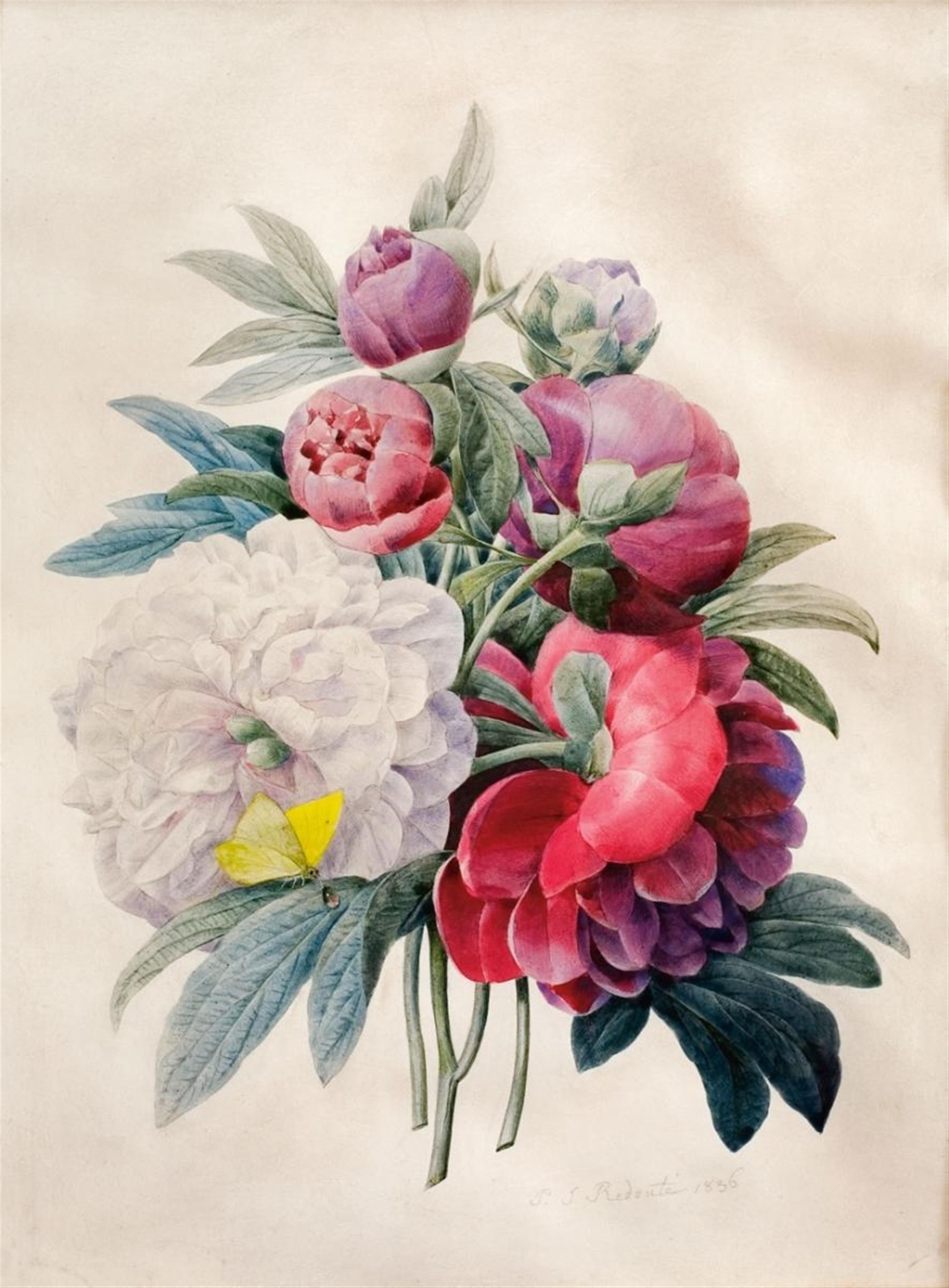 Pierre Joseph Redouté - PEONIES WITH BUTTERFLY - image-1