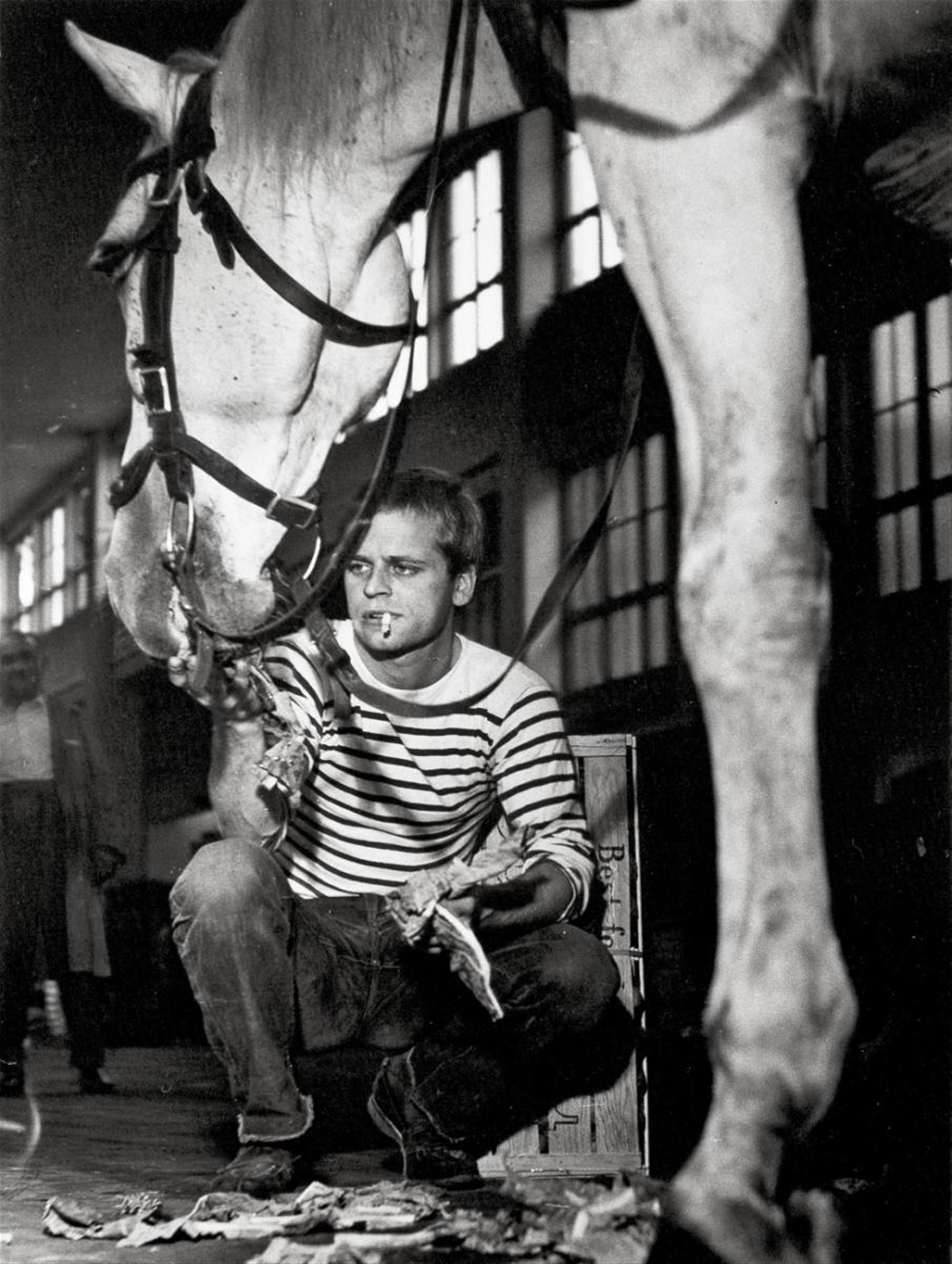 Stefan Moses - KLAUS KINSKI WITH HORSE "FRÄNZI", CENTRAL MARKET HALL, MUNICH - image-1